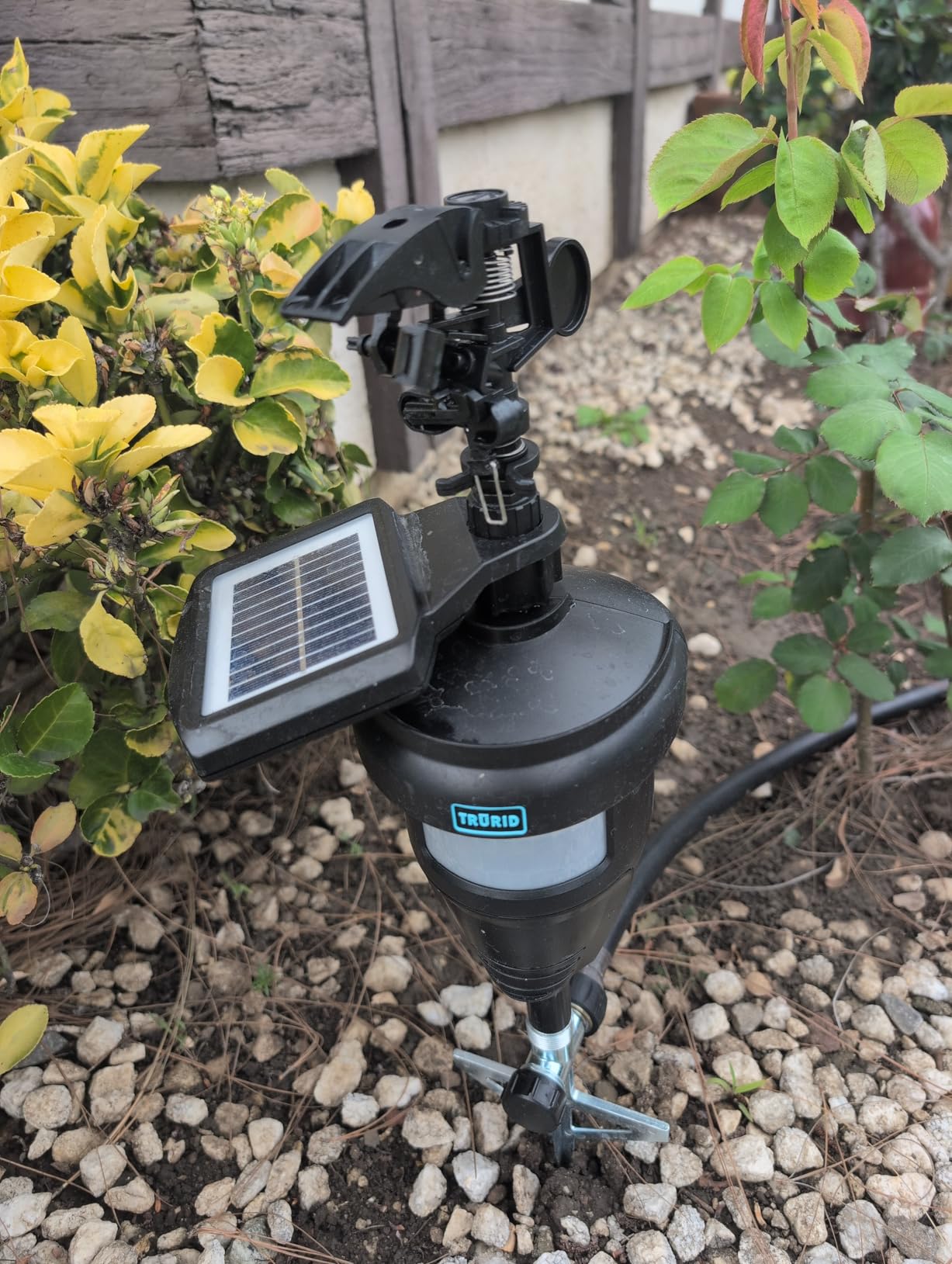 Motion Activated Sprinklers for Yard - Effective Deer & Cat Repellent, Skunk Deterrent, Raccoon & Dog Repellent, Lawn Sprinkler System, Water Sprinkler for Lawn Protection customer photo 1