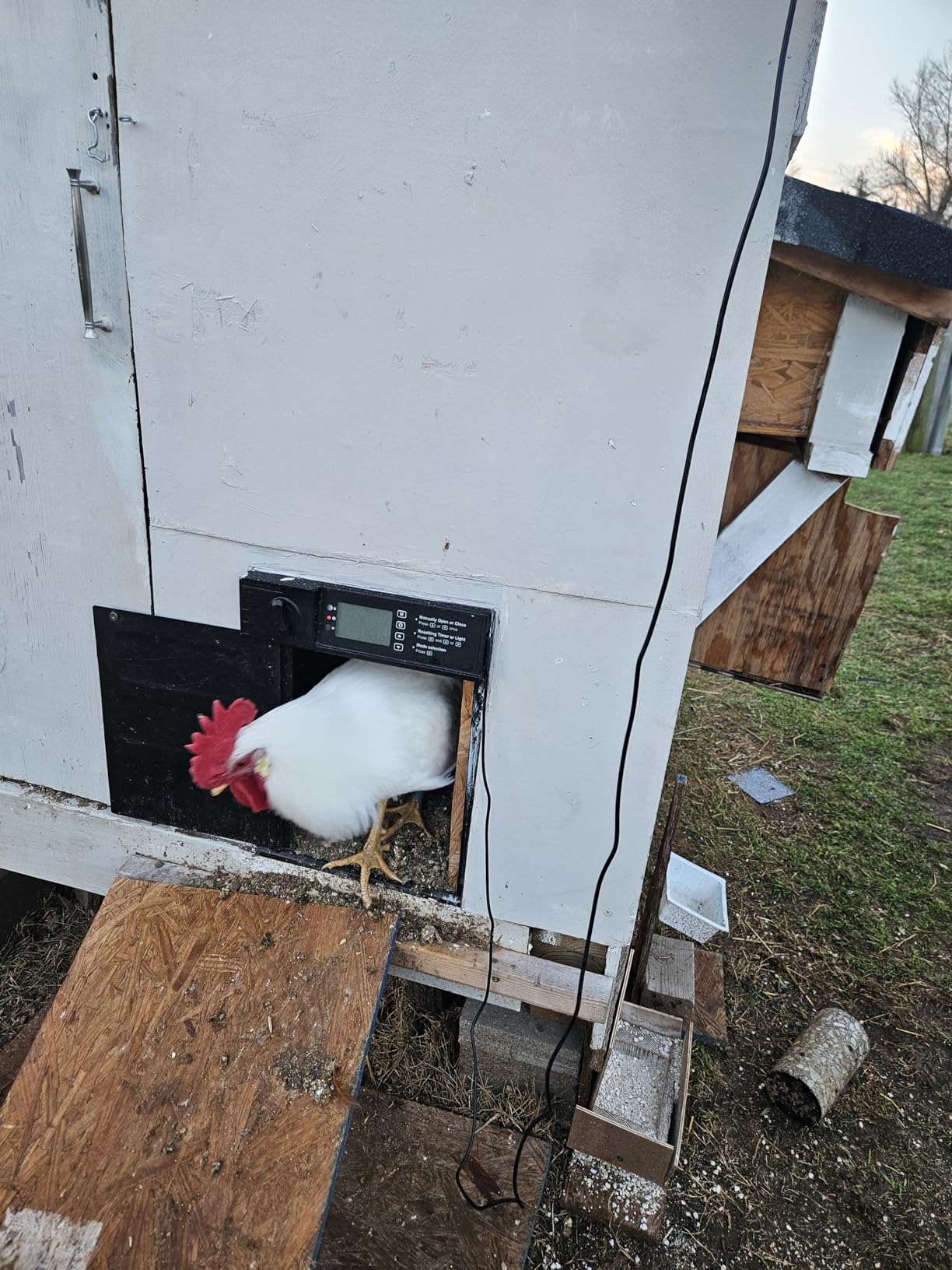 Automatic Chicken Coop Door, Large Size Solar Powered Coop Door with Opening in Emergency, Anti-Pinch, Timer & Light Sensor, Aluminum Waterproof Auto Chicken Door, with 7W Solar Panel customer photo 1
