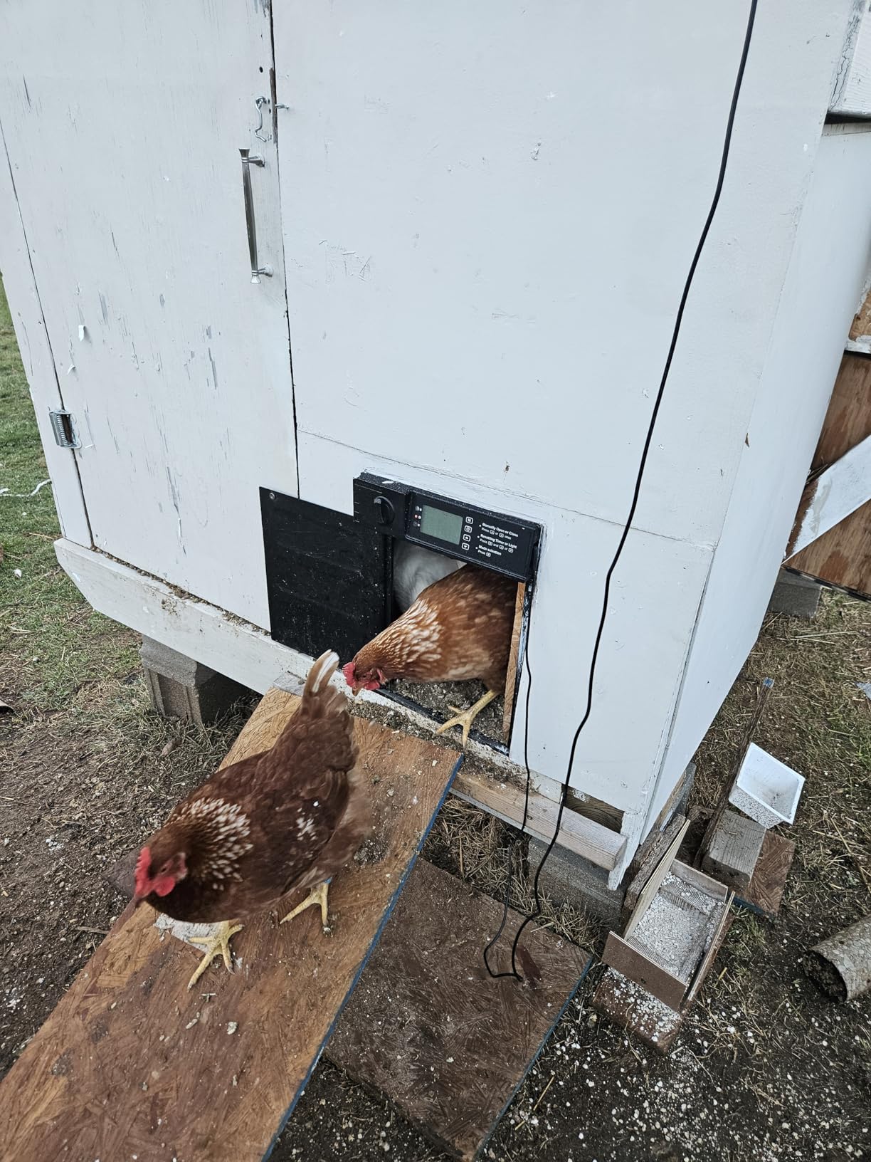 Automatic Chicken Coop Door, Large Size Solar Powered Coop Door with Opening in Emergency, Anti-Pinch, Timer & Light Sensor, Aluminum Waterproof Auto Chicken Door, with 7W Solar Panel customer photo 2
