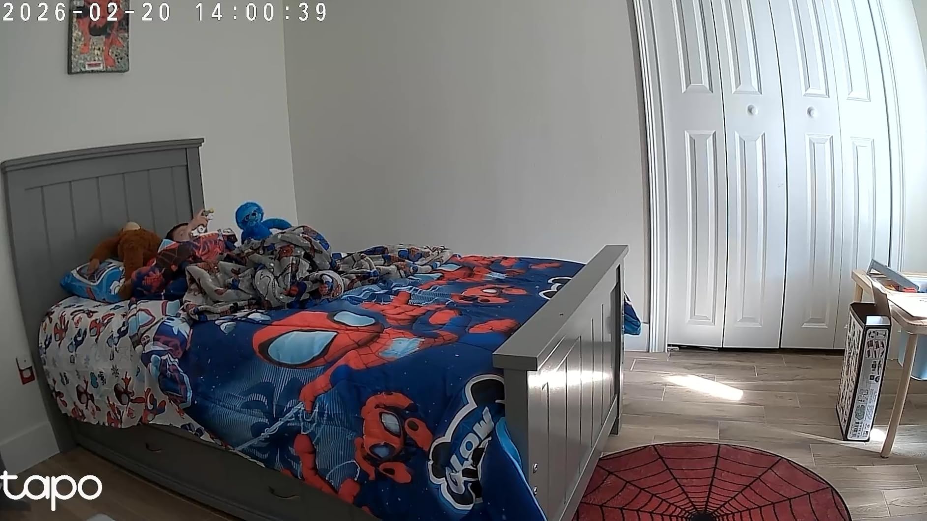 Tapo 1080P Indoor Wired Security Camera - Works as a Baby Monitor & Pet Camera, Motion Detection, 2-Way Audio, Siren, Night Vision, Subscription-Free Local Storage or Optional Cloud, C101 customer photo 1