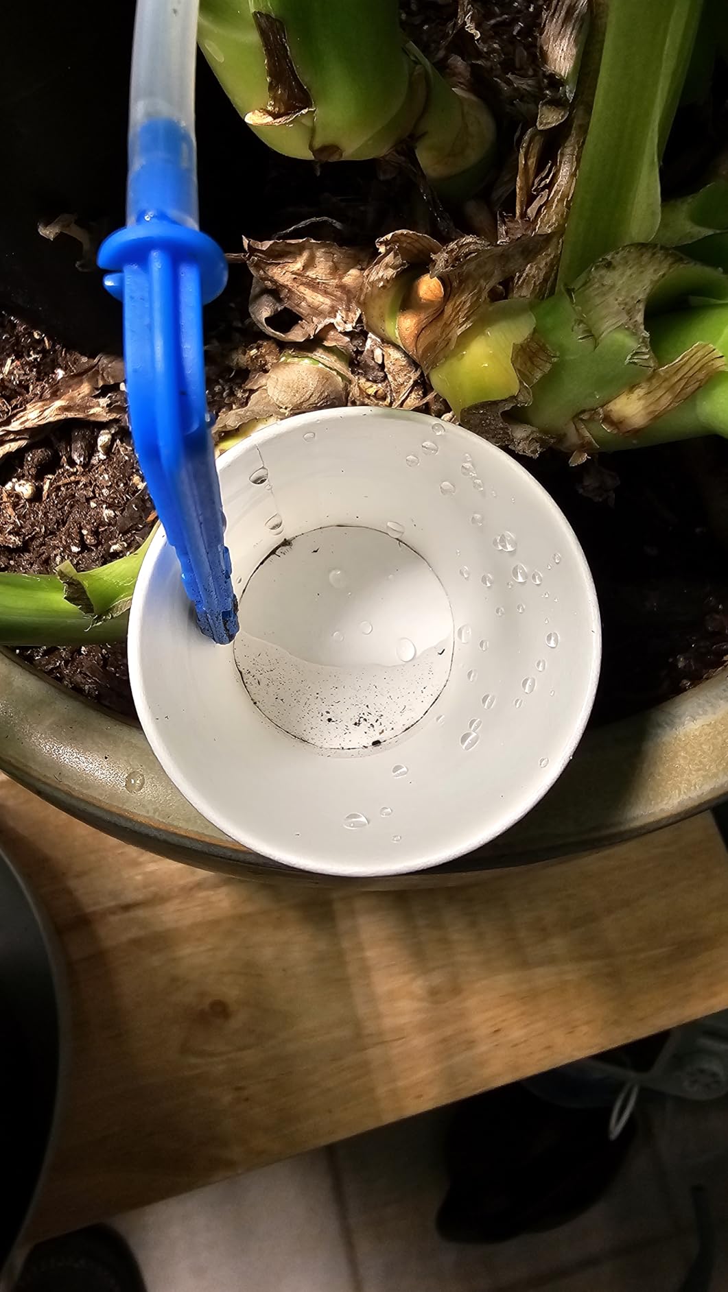 Automatic Plant Waterer Self Watering System Indoor for 15 Potted Plants Pack of 2, Auto Drip Irrigation Kit Programmable Water Timer w Smart Humidity Detection customer photo 2