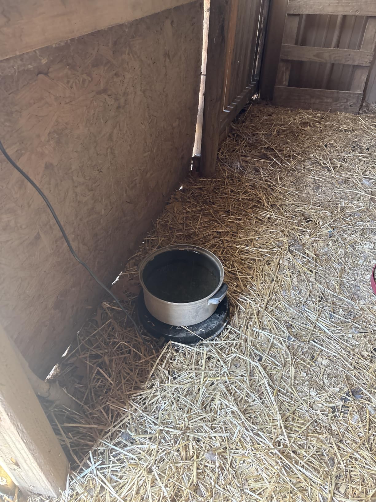 Chicken Water Heater for Winter, 110Watt Thermostat Heated Poultry Waterer Base with 9.8ft Power Cord, Suitable for Plastic/Metal Poultry Waterer (Black, 11INCH-2PACK) customer photo 1