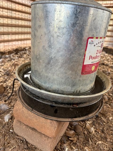 Chicken Water Heater for Winter, 110Watt Thermostat Heated Poultry Waterer Base with 9.8ft Power Cord, Suitable for Plastic/Metal Poultry Waterer (Black, 11INCH-2PACK) customer photo 2