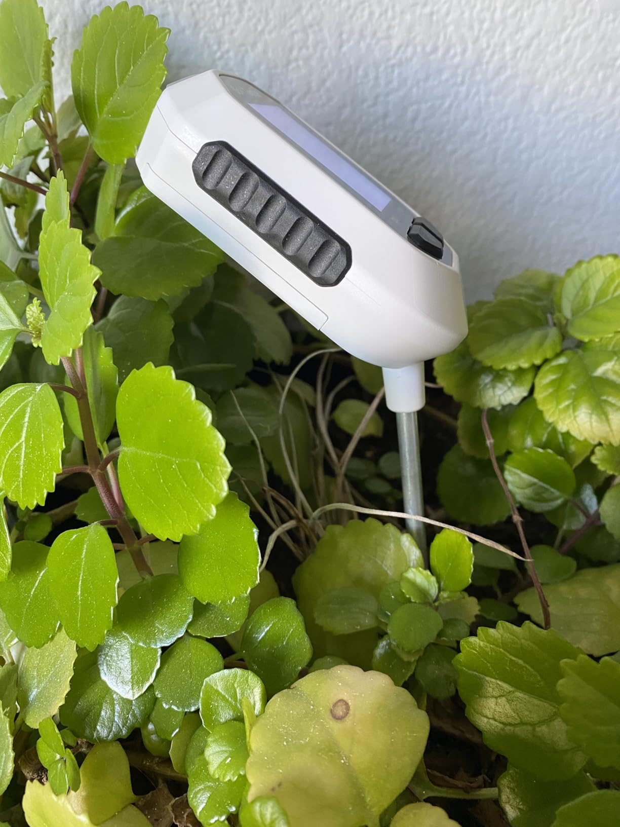 4-in-1 Soil Moisture Meter, Digital Plant Temperature/Soil Moisture Test & PH Meter/Sunlight Intensity, Backlight LCD Display for Gardening, Farming and Outdoor Plants customer photo 2