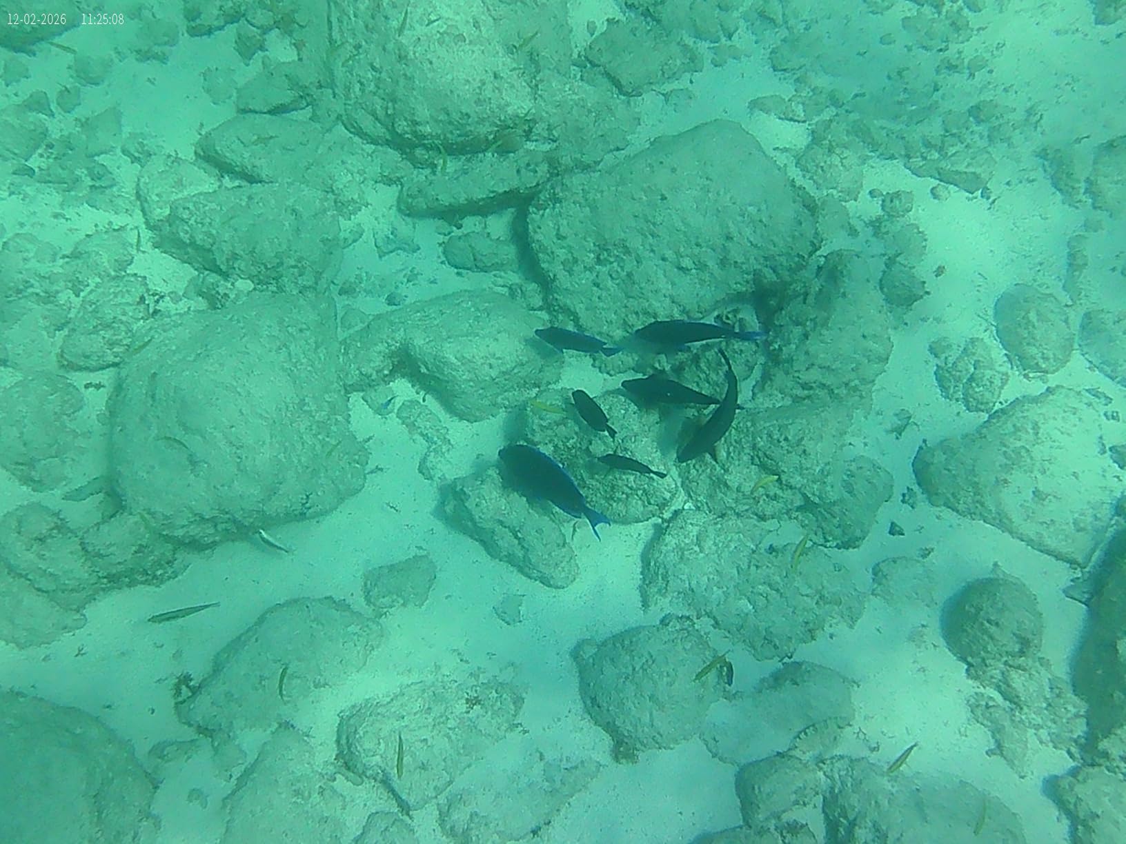 4K 60FPS Action Camera with 64GB Card - 48MP Waterproof Camera, 40M Underwater Camera, 8X Zoom, EIS Stabilization, WiFi, Remote Control, Motorcycle Camera with 2 Rechargeable Batteries customer photo 2