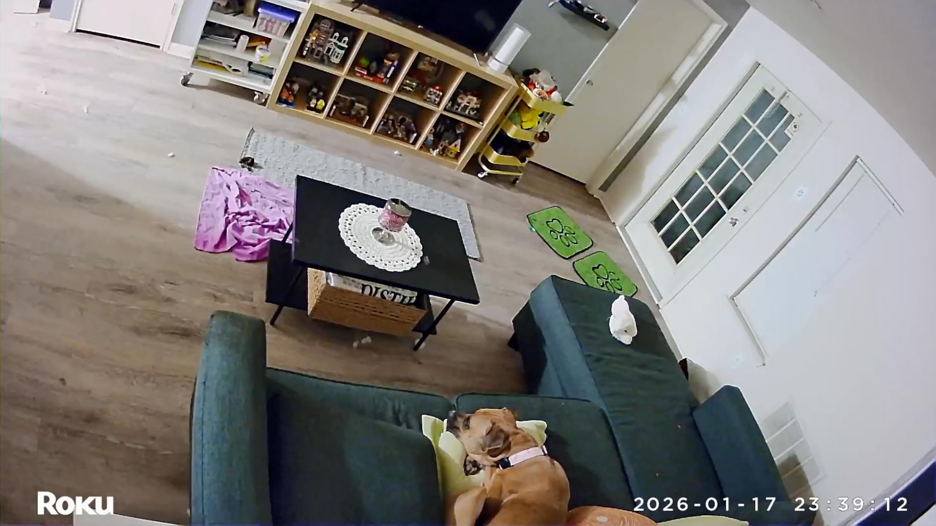 Roku Indoor Camera - Home Security - 2-Pack - Wired Security Camera & Pet Monitor with 1080p HD Color Night Vision, Works with Alexa & Google, Motion & Sound Detection, WDR & WiFi 6 customer photo 1