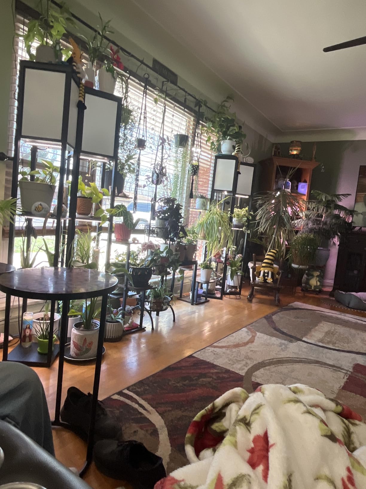 LED Grow Light Strips, Grow Lights for Indoor Plants Full Spectrum 3000K, Plant Light Bar with 3/9/12H Timer, 10 Dimmable Levels for Seedling Succulent, Best Match for Plant Shelf (3 Headx2 Pack) customer photo 1