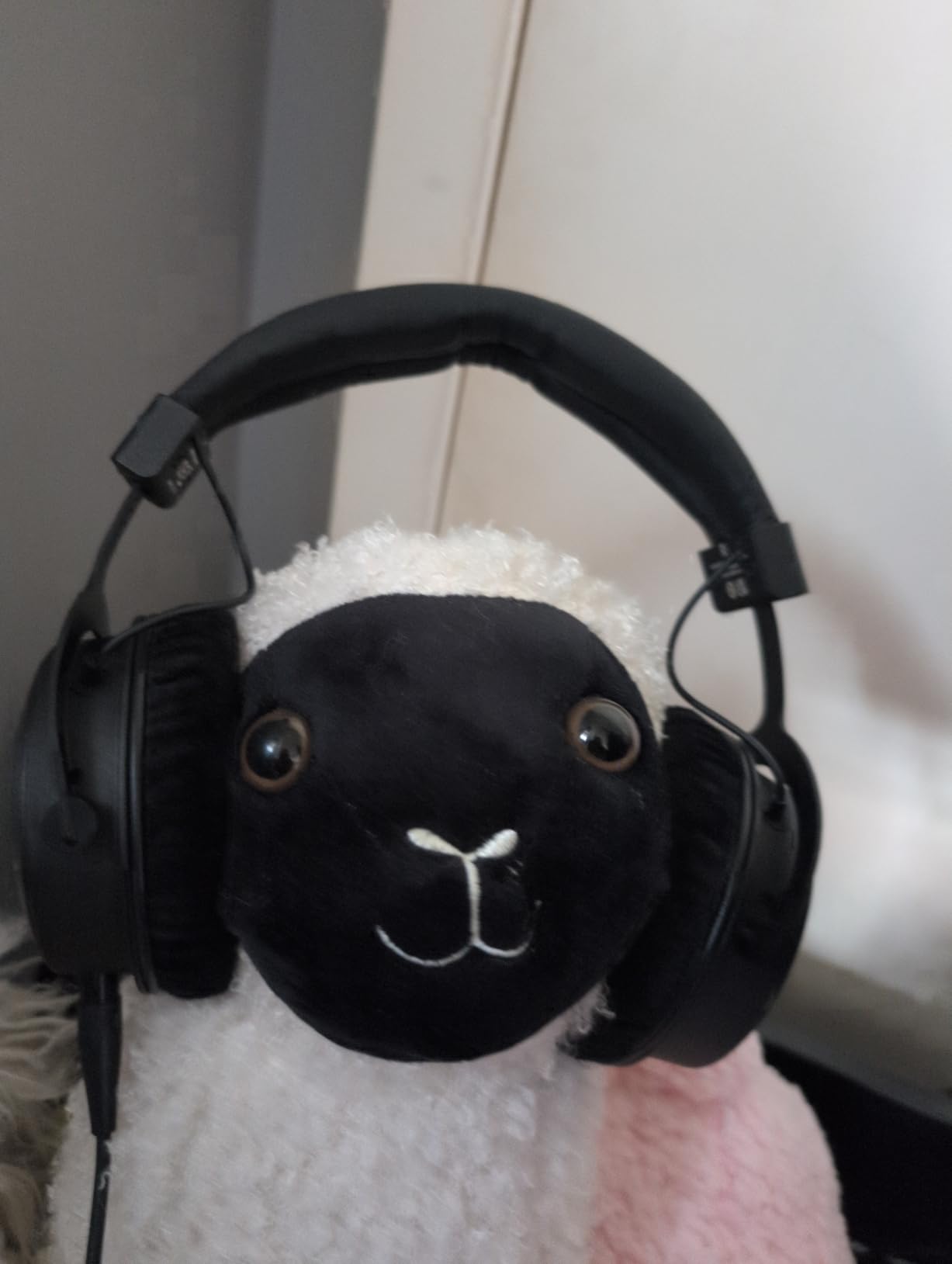 beyerdynamic DT 1770 PRO MKII Closed-Back Professional Recording Studio Monitor customer photo 1