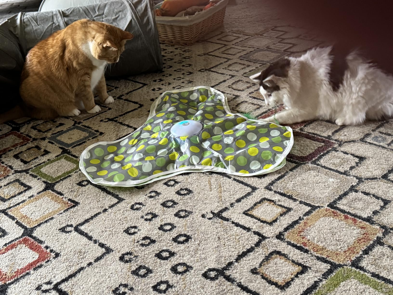 Interactive Cat Toy, Automatic Cat Toys for Indoor Cats, Hide and Seek Cat Toy with Motion Activated, Moving Feather, Chirping, USB Rechargeable customer photo 2