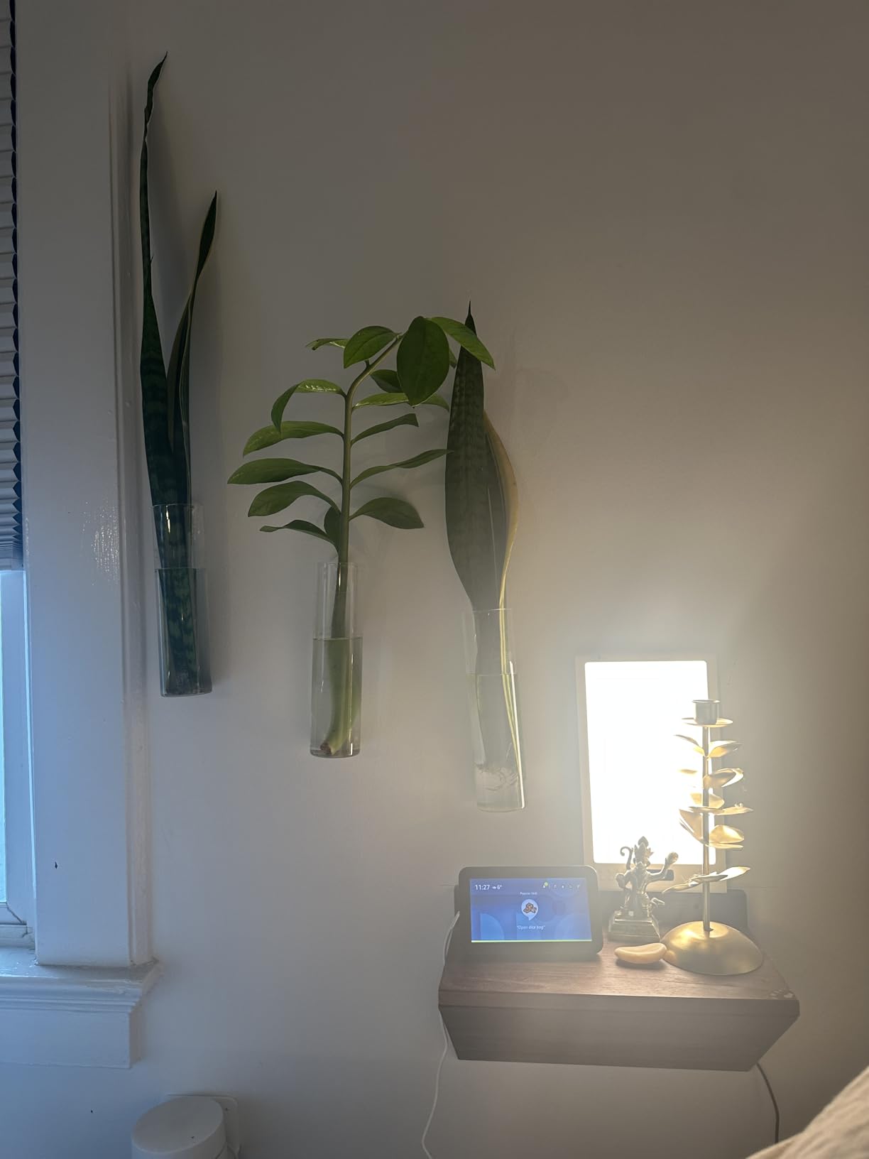 Light Therapy Sunrise Wake-up lamp APP Control Light Alarm Clock UV-Free 3 Color 12000lux Full Spectrum Sun lamp Restorative Strength, Focusing Attention customer photo 1