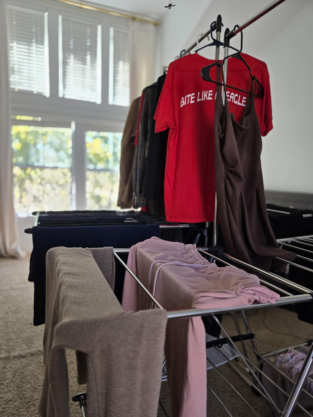 APEXCHASER Clothes Drying Rack with High Hanger, Foldable 3-Level Drying Racks with Shoe Rack, Crossbar and Vertical Rod Laundry Stand with Adjustable Wings Silver customer photo 2