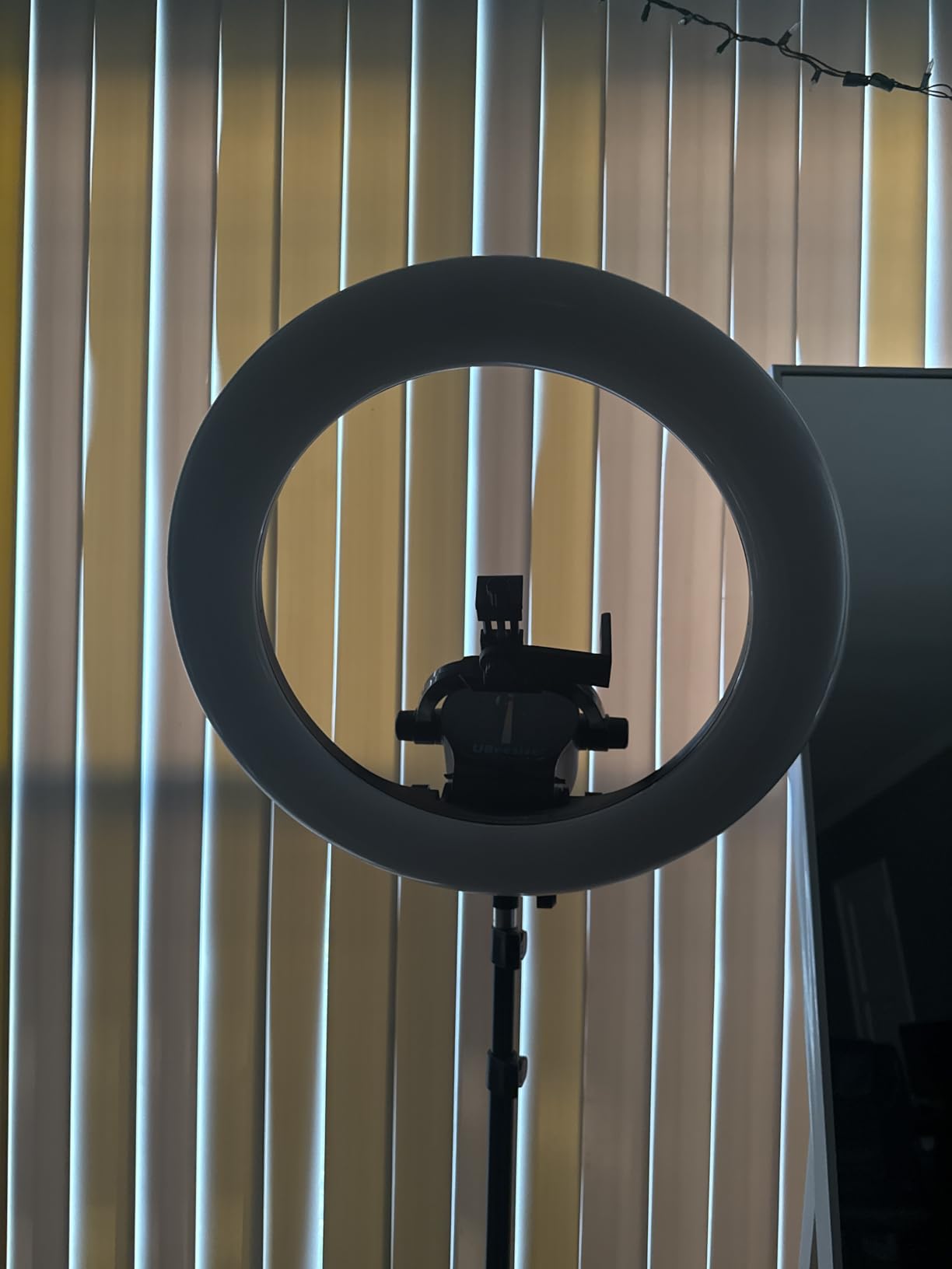 UBeesize 22'' Ring Light with 72'' Stand, 65W Large Ring Light with Phone Holder, Dimmable LED Light for Makeup Barber Stylist Tattoo YouTube TikTok Photography customer photo 1