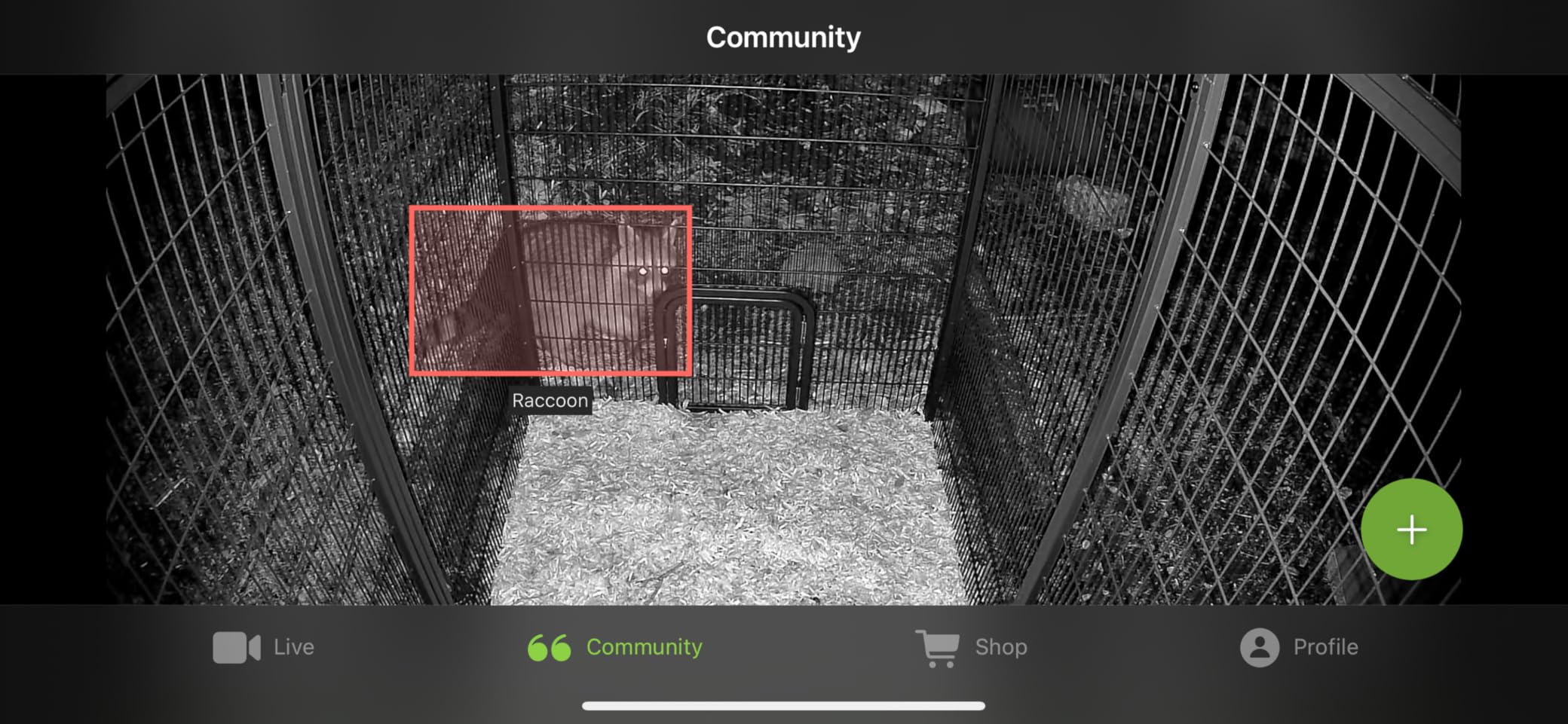 Coop Smart WiFi Chicken Camera - iOS Only, 1080p HD, Night Vision, AI Predator Alerts, Battery + Solar Option, Outdoor Waterproof Security Cam Monitoring & Egg Watch customer photo 1