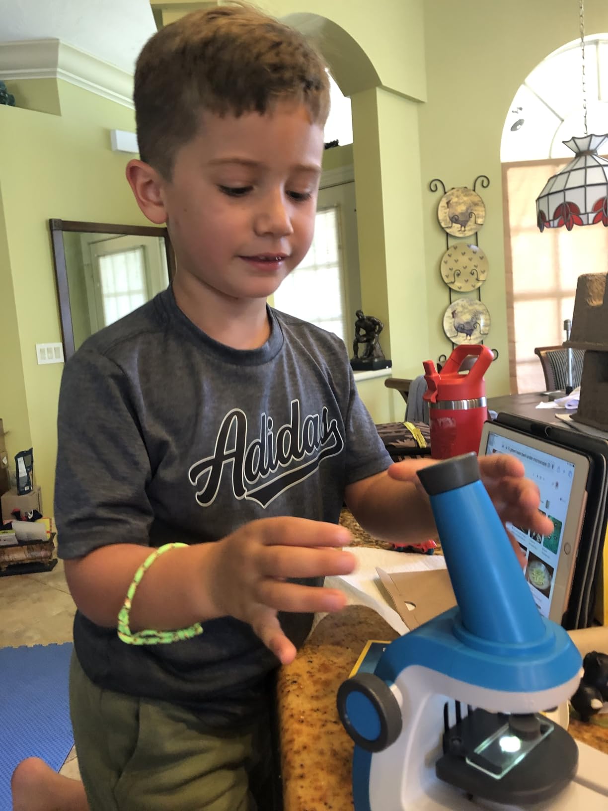 National Geographic Junior Microscope for Kids- Kit Includes Up to 250x Magnification Handheld Mini Attachment, 12 Slides, Lab Guide, Science Toy for Ages 6-12, STEM Project customer photo 1