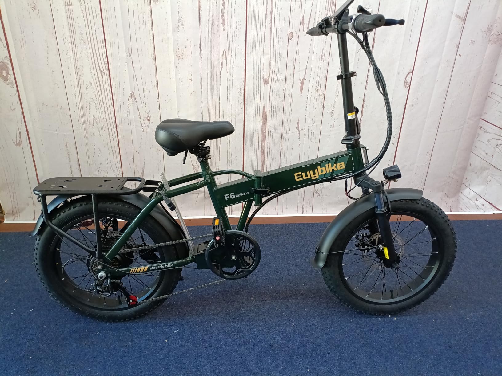 1000W Folding Electric Bike, 48V 20AH Large Removable Battery E Bike, 30+MPH, 80 Miles Max Range, 20
