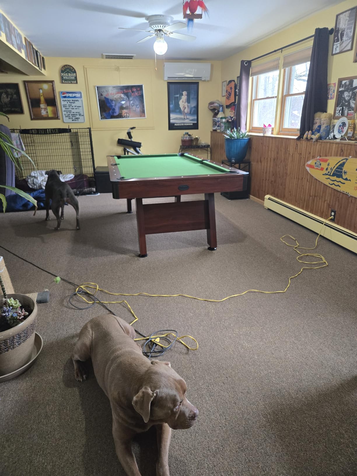 GoSports 7 and 8 ft Pool Tables with Wood Finish - Gray, Black, or Green Felt - Billiards Game Room Table for Adults & Family - Accessories Not Included customer photo 1