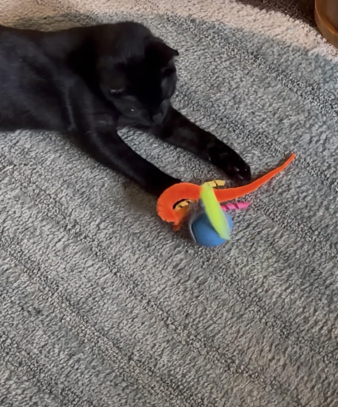 BABORUI Interactive Cat Toy Ball - Automatic Interactive Cat Toys for Indoor Cats with 3 Tails, 2 Speeds Rechargeable Cat Enrichment Toys customer photo 2