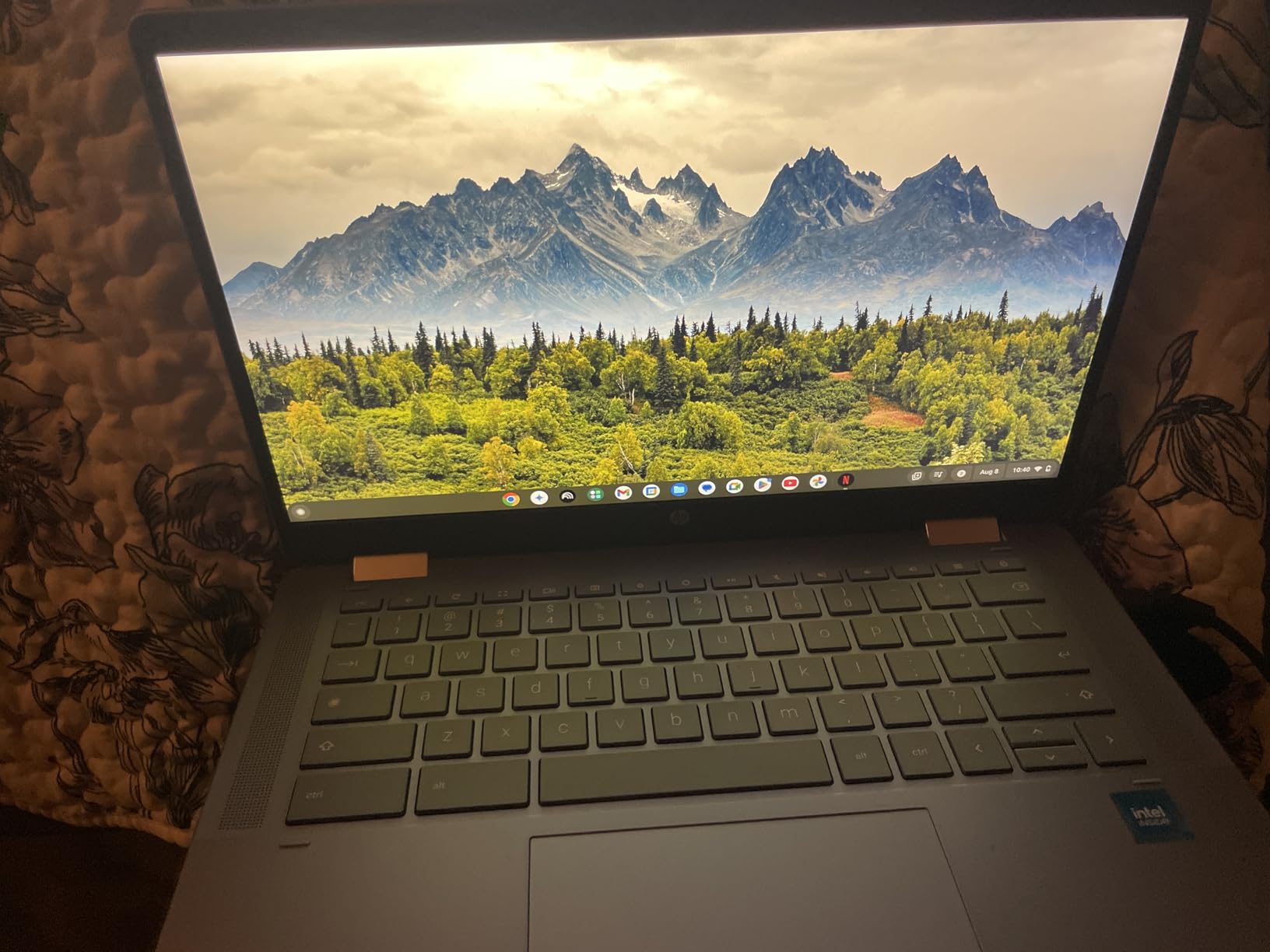 HP 2025 Portable x360 Chromebook - 14