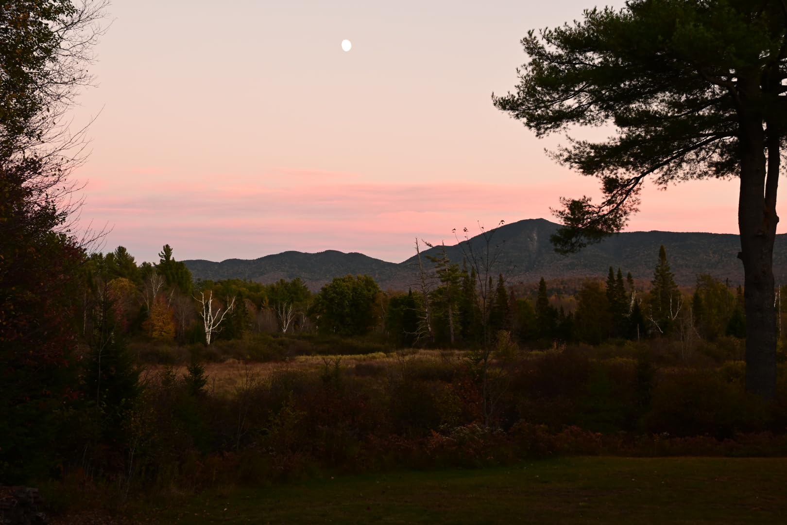 Nikon Z50 II with Two Lenses | Compact mirrorless Stills/Video Camera with Easy Color presets and Wireless Photo Sharing | USA Model customer photo 1