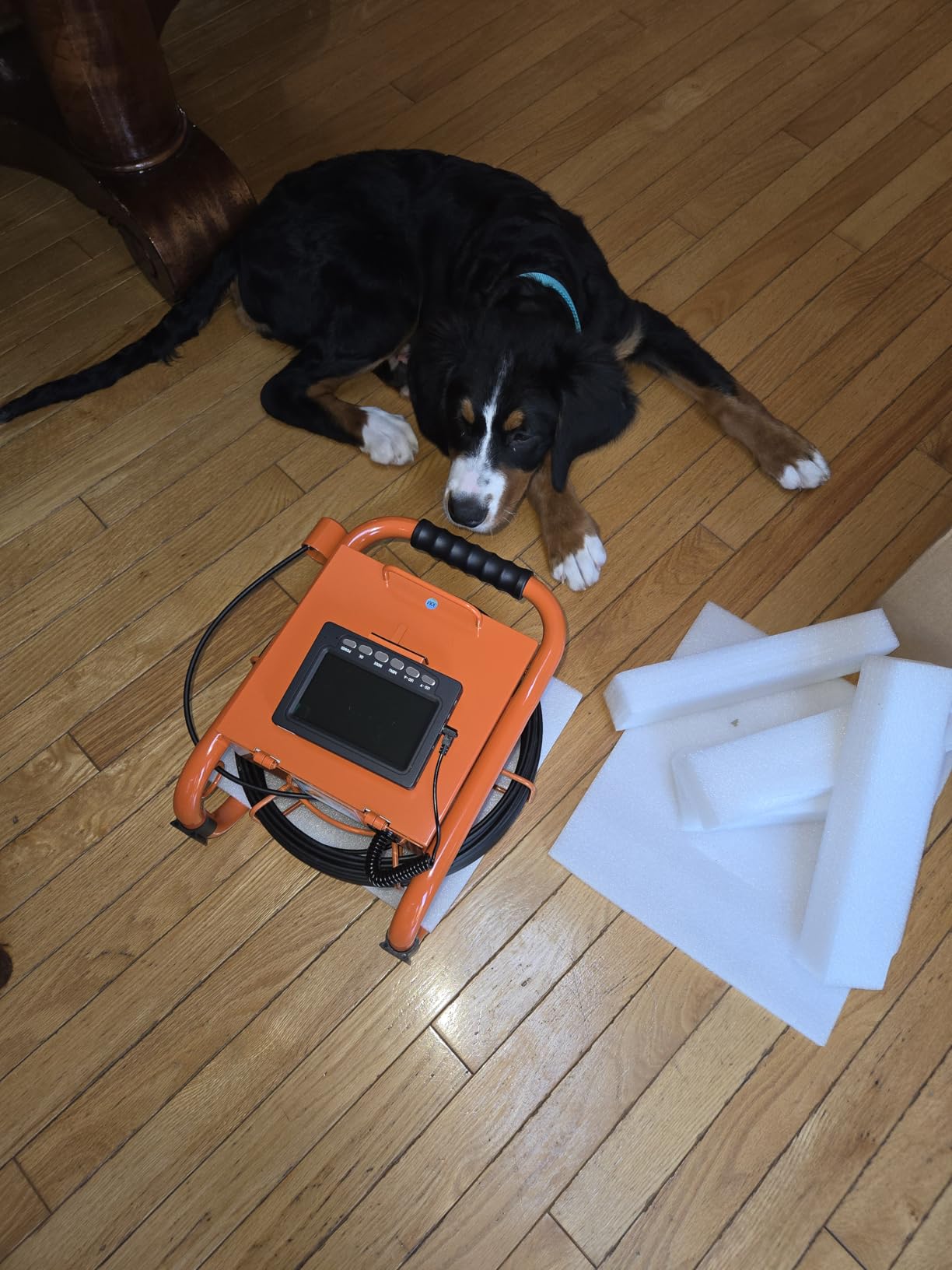 Sewer Camera 100FT/30M Borescopes Plumbing Snake Pipe Inspection Camera DVR & Audio Recorder 17/22mm with 5600Mah Battery 4.3