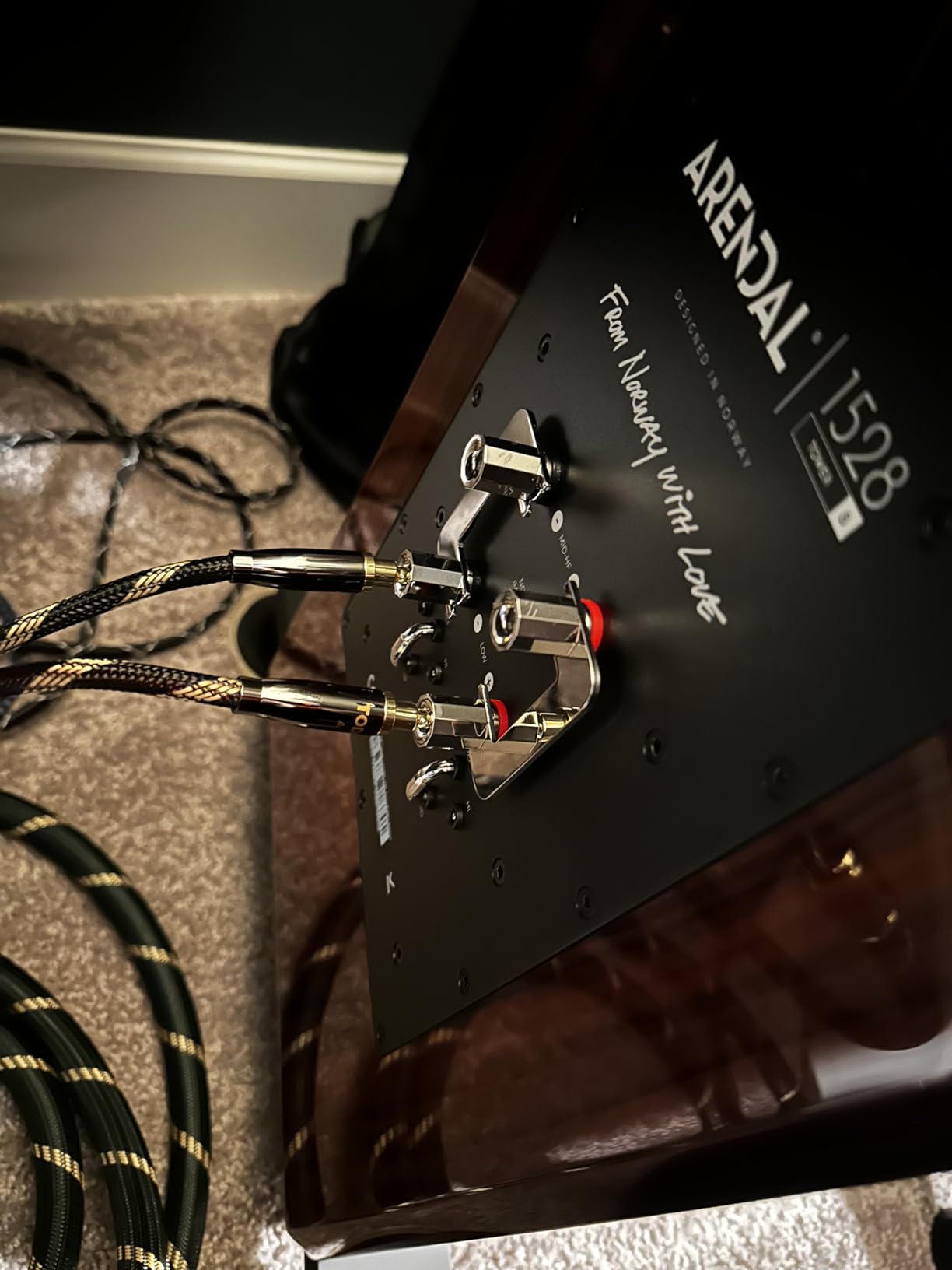 TODN Audiophile Banana Plug Speaker Cable with Convertible Spade Plugs, OCC-Core, Dual Shielded Speaker Stereo Cord (9.8ft/3m, 1 Cable) customer photo 2