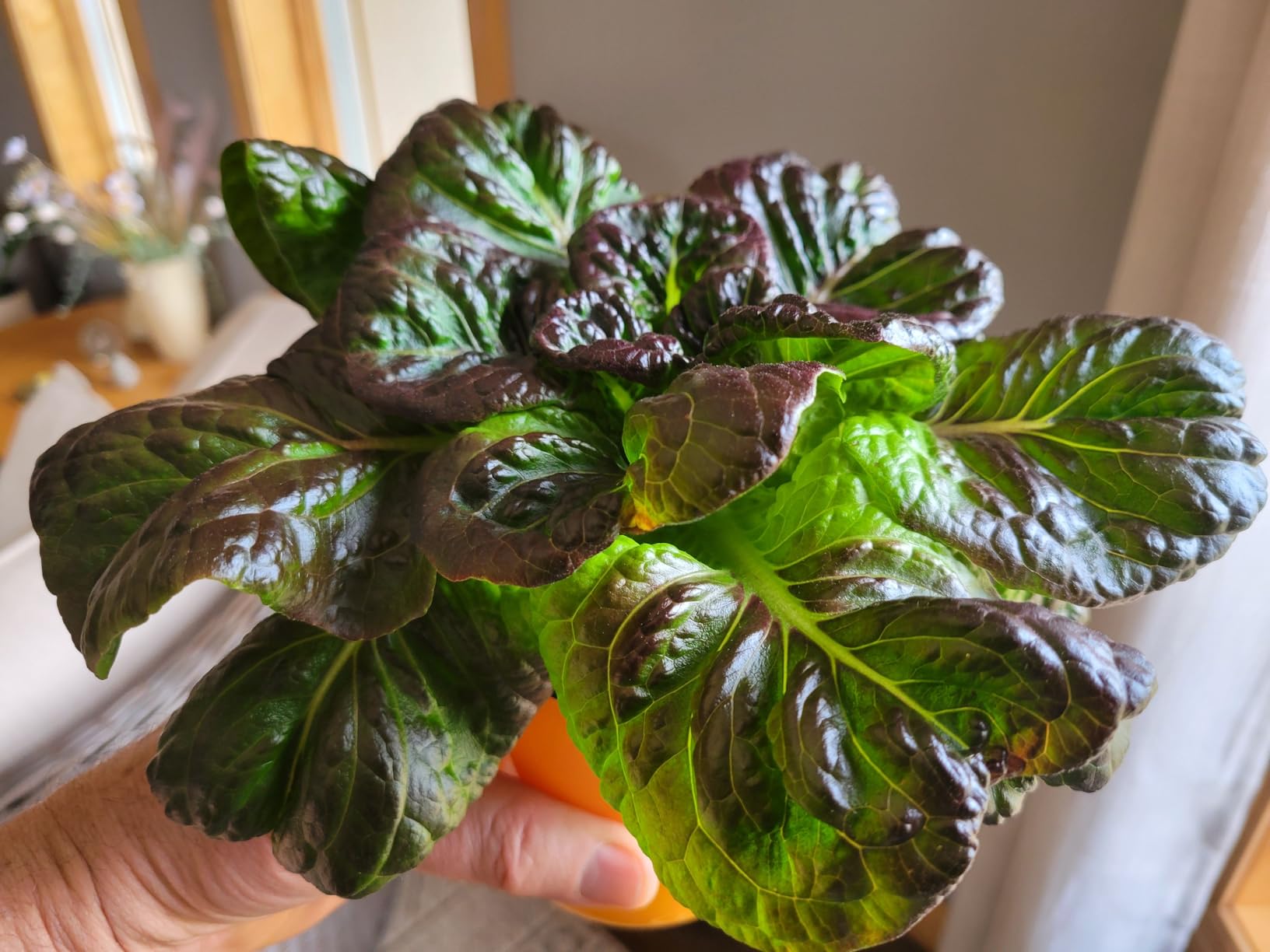 Barrina TX72 4FT Grow Lights for Seed Starting, 72W(500W Equivalent), High PPFD, Full Spectrum with 660nm Red LEDs, Linkable, Hanging Grow Lights for Indoor Plants with On/Off Switch, Veg, 1 Pack customer photo 2