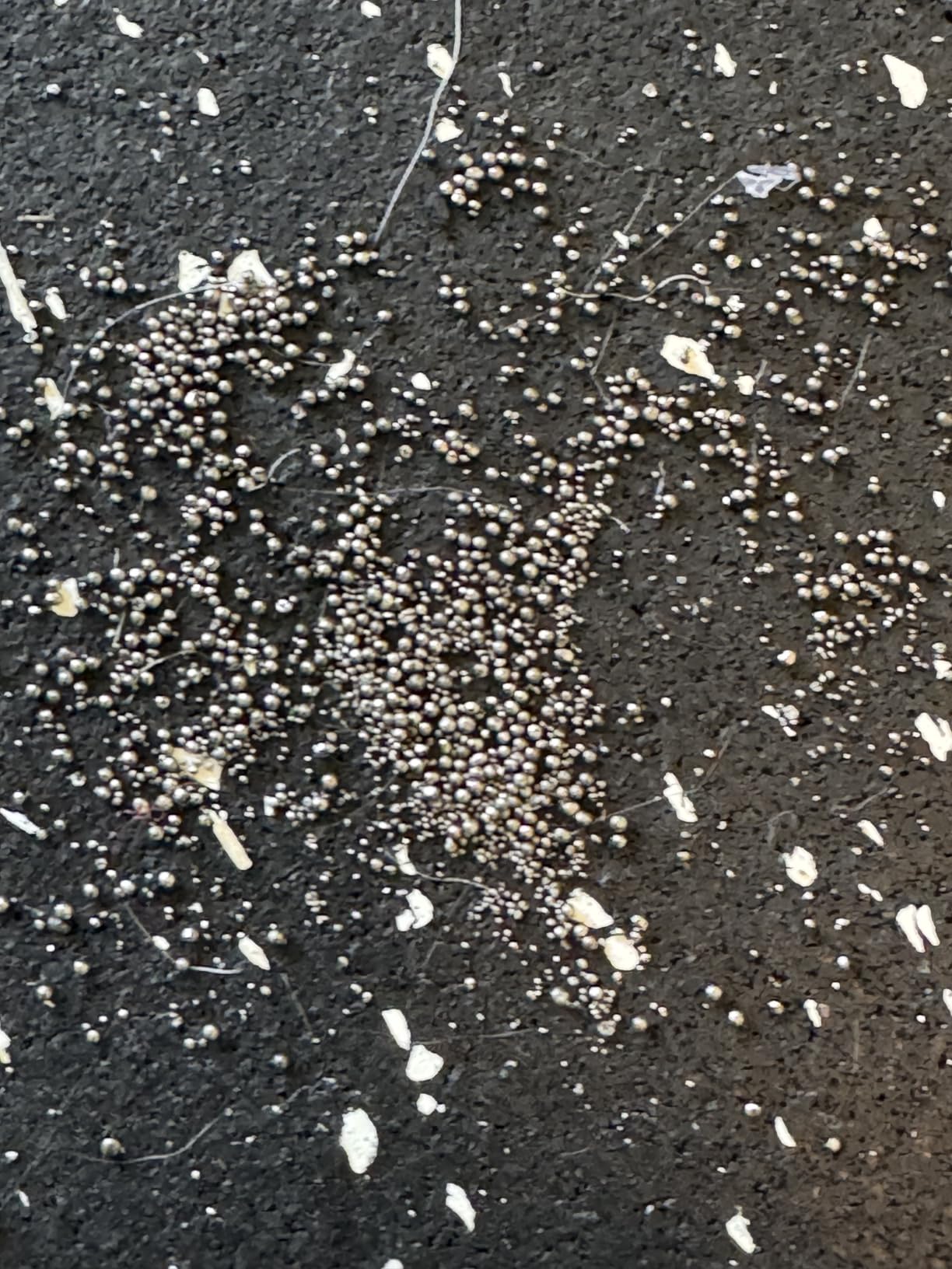 DELAVIN Curved Manual Treadmill, Non Electric Treadmill with 4 Resistance Levels, Motorless Treadmill with Front Digital Display and Handlebar, Wide Belt Treadmill 440LBS Capacity for Home Gym(FBA) customer photo 1