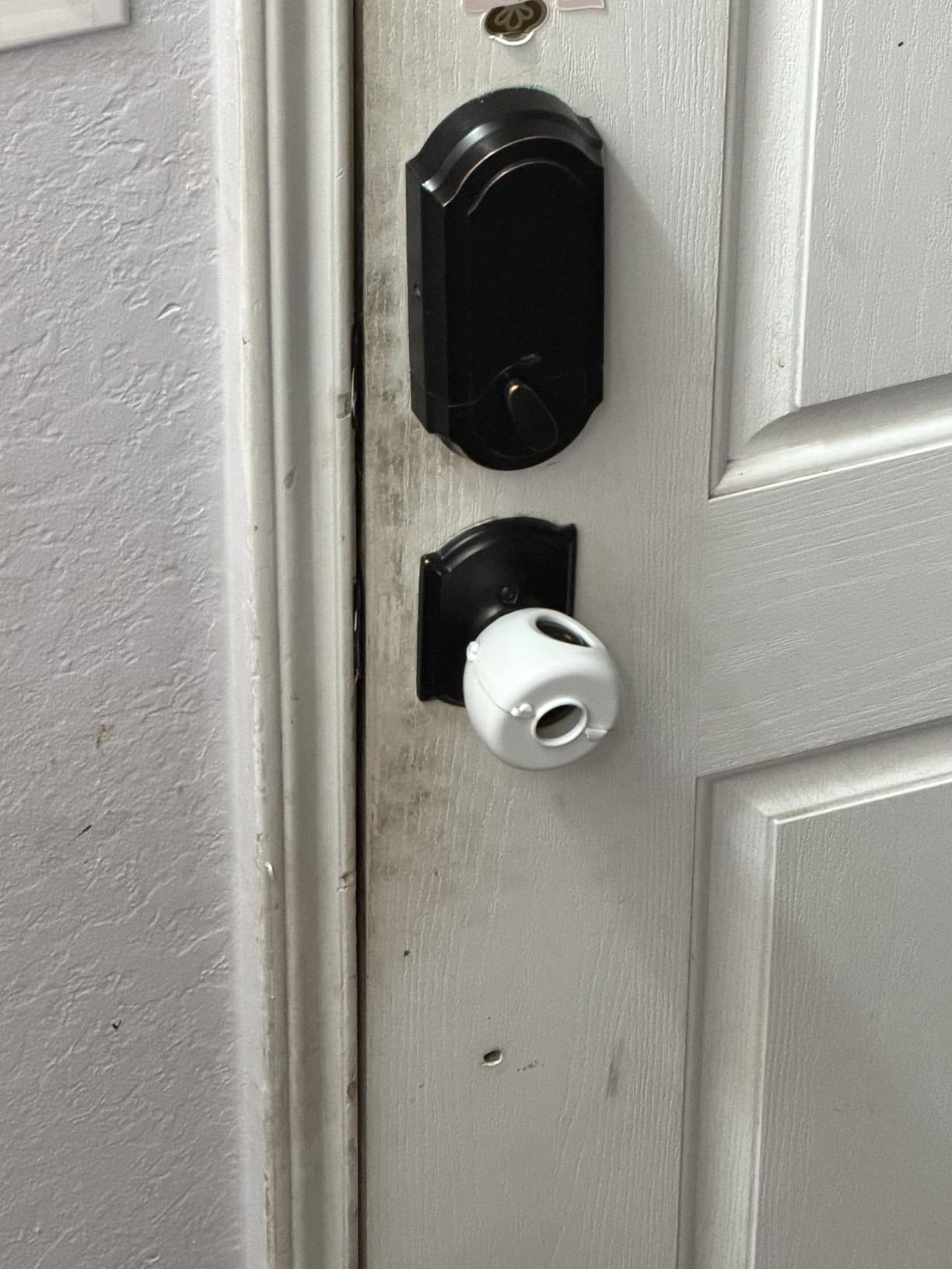 Steam Cleaner,15s Heat-Up,1.6L Tank,3-Level Adjustable Handle,2500W Steamer for Cleaning,Portable Steamer for Cleaning with 16PCS Accessories,Steam Cleaner for Home,Car,Dirt,Grease,Grout,Tile,Couch customer photo 1