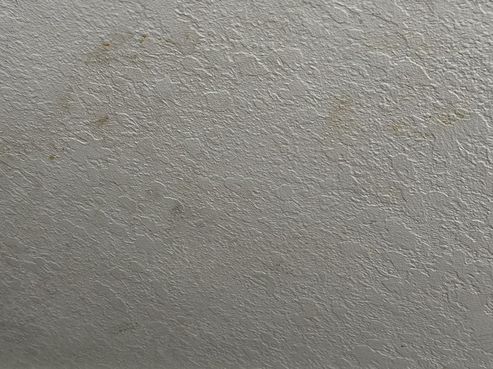 Steam Cleaner,15s Heat-Up,1.6L Tank,3-Level Adjustable Handle,2500W Steamer for Cleaning,Portable Steamer for Cleaning with 16PCS Accessories,Steam Cleaner for Home,Car,Dirt,Grease,Grout,Tile,Couch customer photo 2