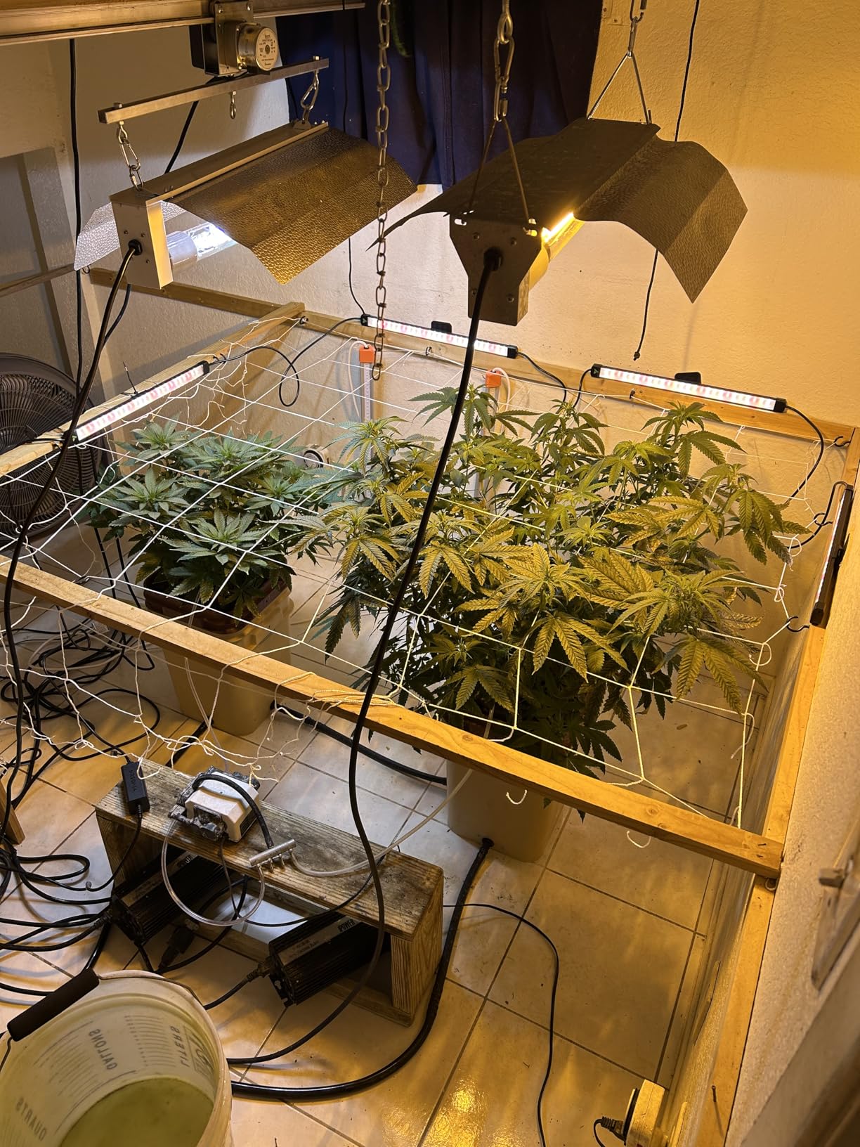 VIVOSUN Lumaray LED Grow Light Bars 16-Inch 4-Bar, Full Spectrum Side Lighting with 60% Red Light up to 25% Yields for Grow Tents, Greenhouses, Magnet Reliability Upgraded, SGS Compatible customer photo 1