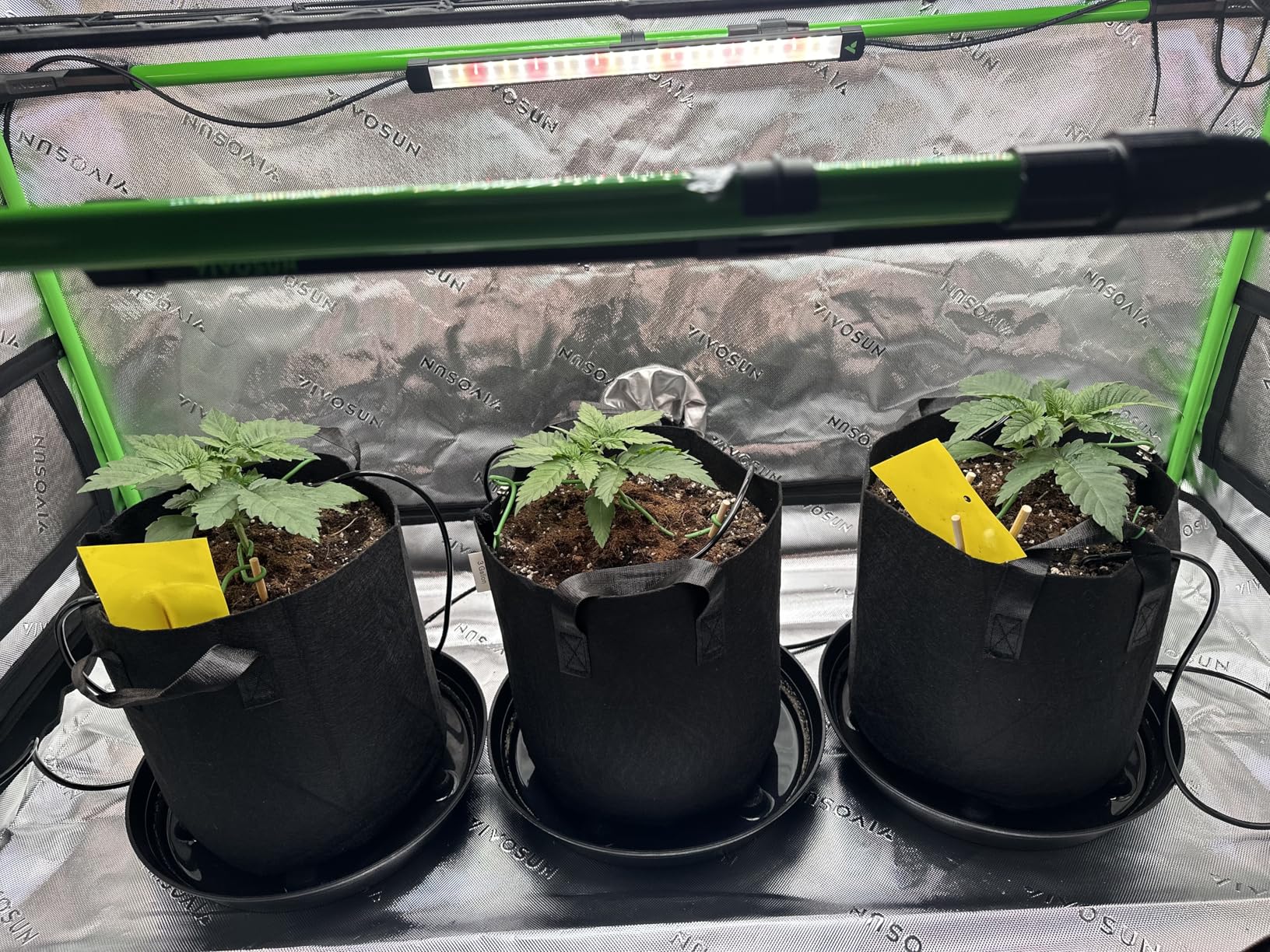 VIVOSUN Lumaray LED Grow Light Bars 16-Inch 4-Bar, Full Spectrum Side Lighting with 60% Red Light up to 25% Yields for Grow Tents, Greenhouses, Magnet Reliability Upgraded, SGS Compatible customer photo 2