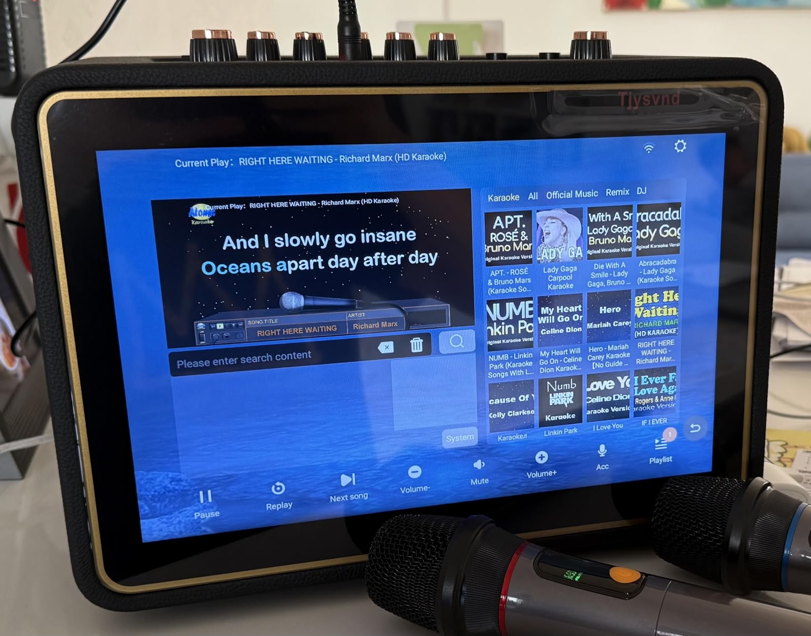 Smart Karaoke Machine with Lyrics Display, 12.1 Inch IPS Touch Screen, Two Wireless Microphones, Portable Bluetooth Speaker PA System for Home Outdoor Party (Large) customer photo 1