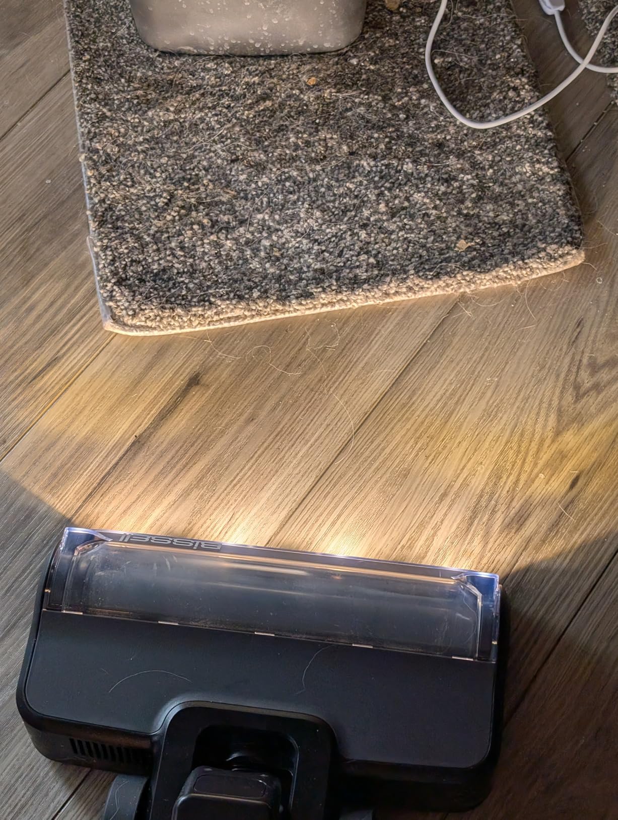 Bissell PowerClean FurGuard 280W Self-Standing Cordless Vacuum w/Self-Cleaning Brush Roll, Strong Suction, Removeable Battery, Wall Mount, Upholstery Tool & Bright Headlights customer photo 2