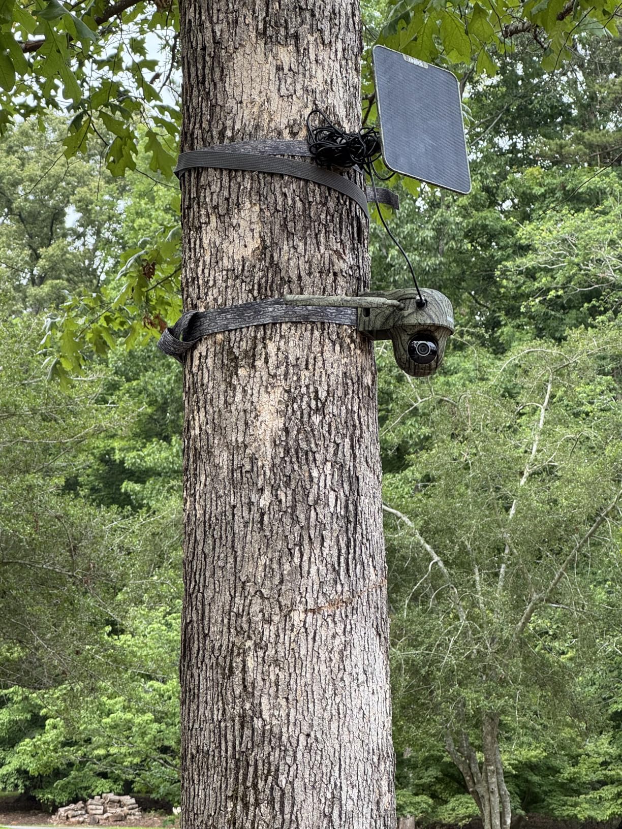 REOLINK 4K Cellular Trail Camera, 3G/4G LTE, 360 4K HD Full View, 32GB SD+SIM Card Included, Animal Recognition, No-Glow IR, Smart Motion Activated, Go Ranger PT+Solar Panel, Updated Version customer photo 1