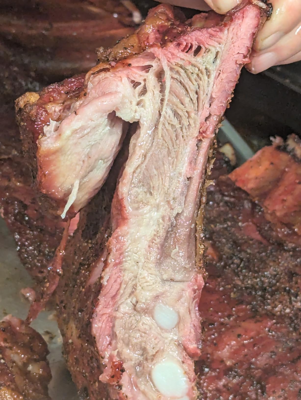 Traeger Grills Woodridge Electric Wood Pellet Grill and Smoker, Wi-Fi Temperature Control up to 500 Degrees, 860 Sq. In. Cooking Capacity, 6-in-1 for Outdoor Grilling, Smoking, and BBQ customer photo 2