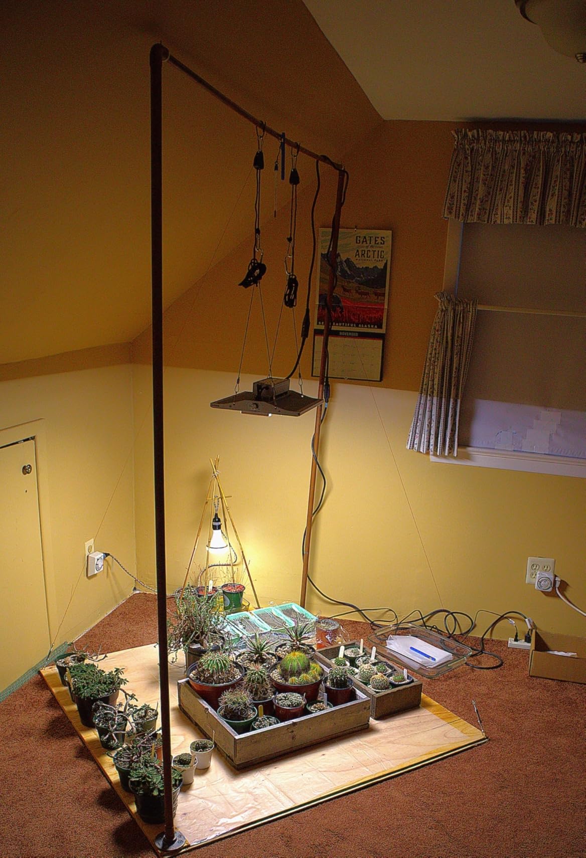 VIPARSPECTRA P700 Grow Light, 70 Watt Dimmable Full Spectrum Plant Light, LED Grow Lights for Indoor Plants Seed Starting Seedlings Vegetable,11000 Lumens Small Hanging Growing Lamp for 2x2 Grow Tent customer photo 2