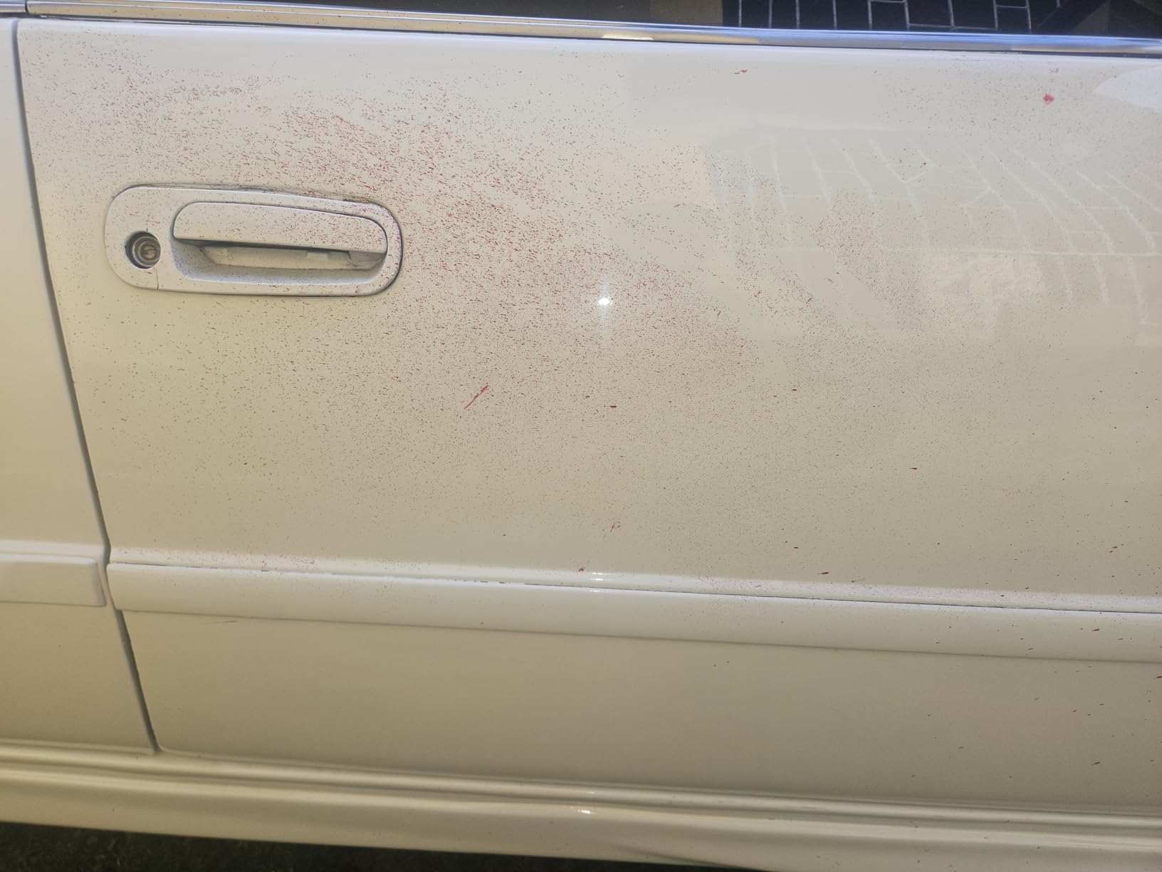 Clay Bars Kit, 6 Clay Bars & 20 PCS Lubricant Tablets, Complete Car Detailing Kit, Spray Bottle, Disposable Gloves and Microfiber Towels for Car Detailing Cleaning customer photo 2