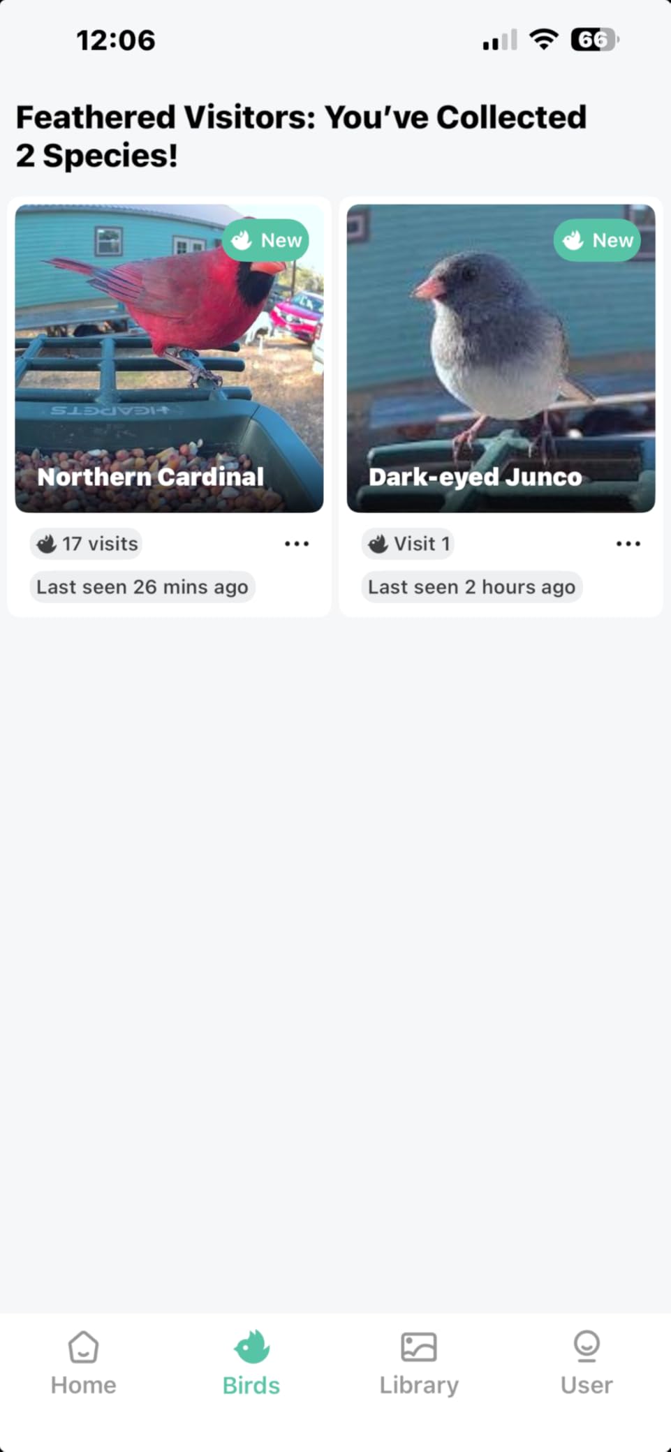 Smart Bird Feeder with Camera Solar Powered, 2K HD Video, AI Bird Species Identification, Instant Arrival Alerts, Weatherproof Design for Effortless Birdwatching, Best Gift for BirdLovers, Red customer photo 2