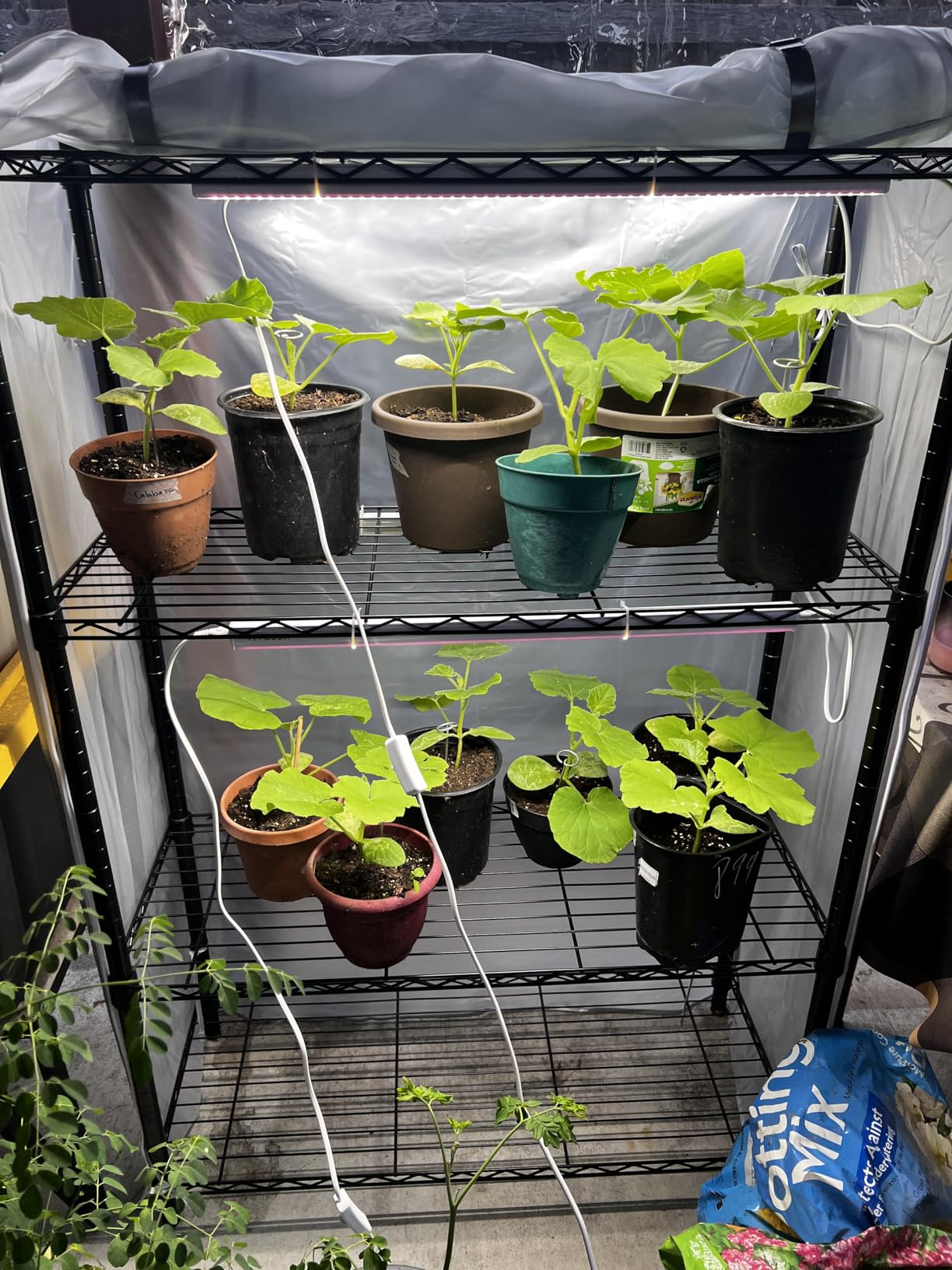 VIVOSUN T5 Grow Lights for Indoor Plants, 5000K Full Spectrum 24W(4 X 6W), 1FT LED Plant Light Strip for Seed Starting, Greenhouse, Hydroponics, SGS Compatible, Linkable, 4-Pack customer photo 2