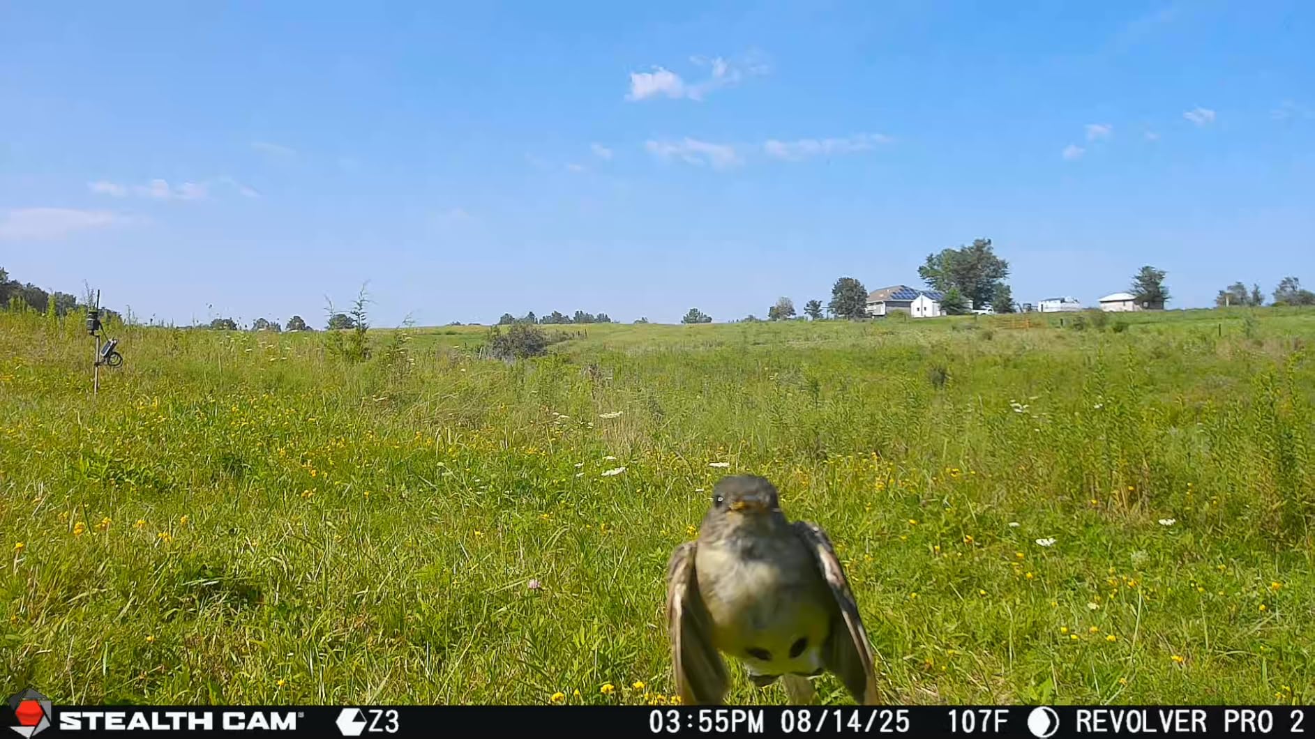 Stealth Cam Revolver Pro 2.0 360 Degree Cellular Camera 40MP, 1-6 Zone On-Demand and Live View, 0.4 Sec Trigger, Built in Memory, HD Photo and Video customer photo 1