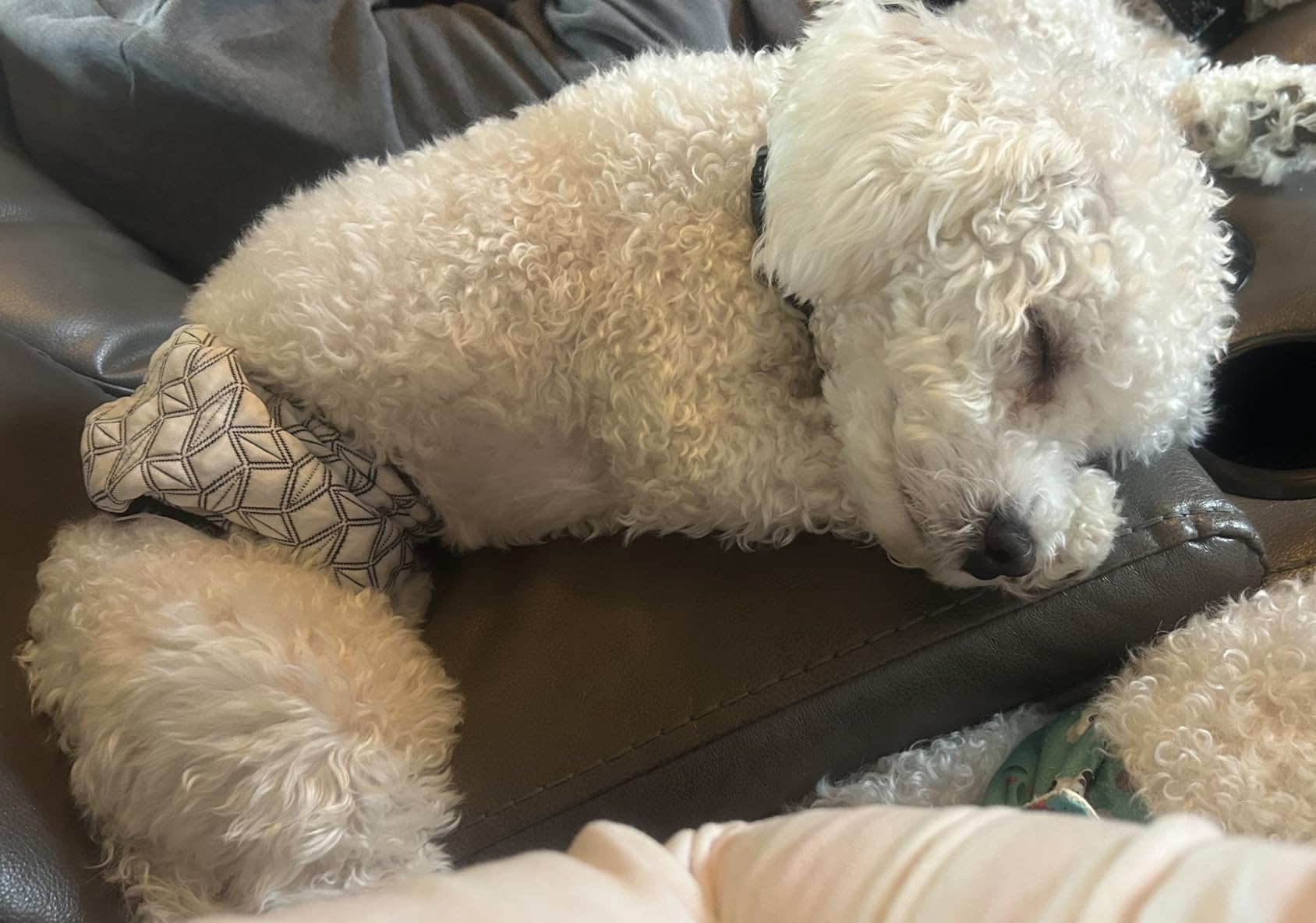 Smart AI Bark Collar for Large Medium Small Dogs, Anti Barking Device with 5 Training Modes, Exclusive Forced Bark-Stopping, Rechargeable IP67 Waterproof Bark Collar with 5 Sensitivity (Black) customer photo 1