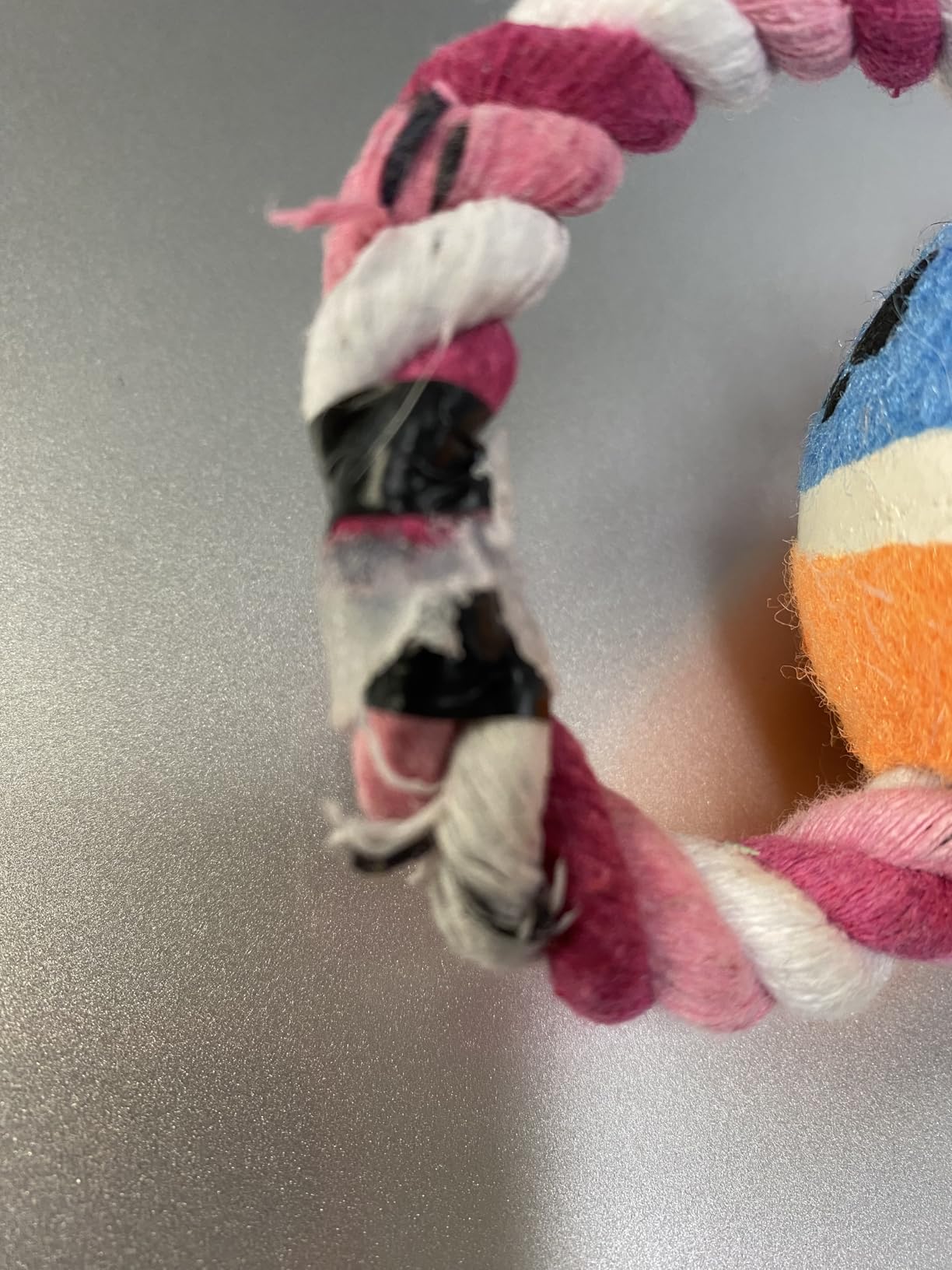 Agility Training Equipment for Dogs, Dog Agility Equipment for Backyard & Indoor Training - Professional Backyard Course with Adjustable Jumps, Collapsible Tunnel, Storage Bags & Toys (Blue, 13 PCS SET) customer photo 1