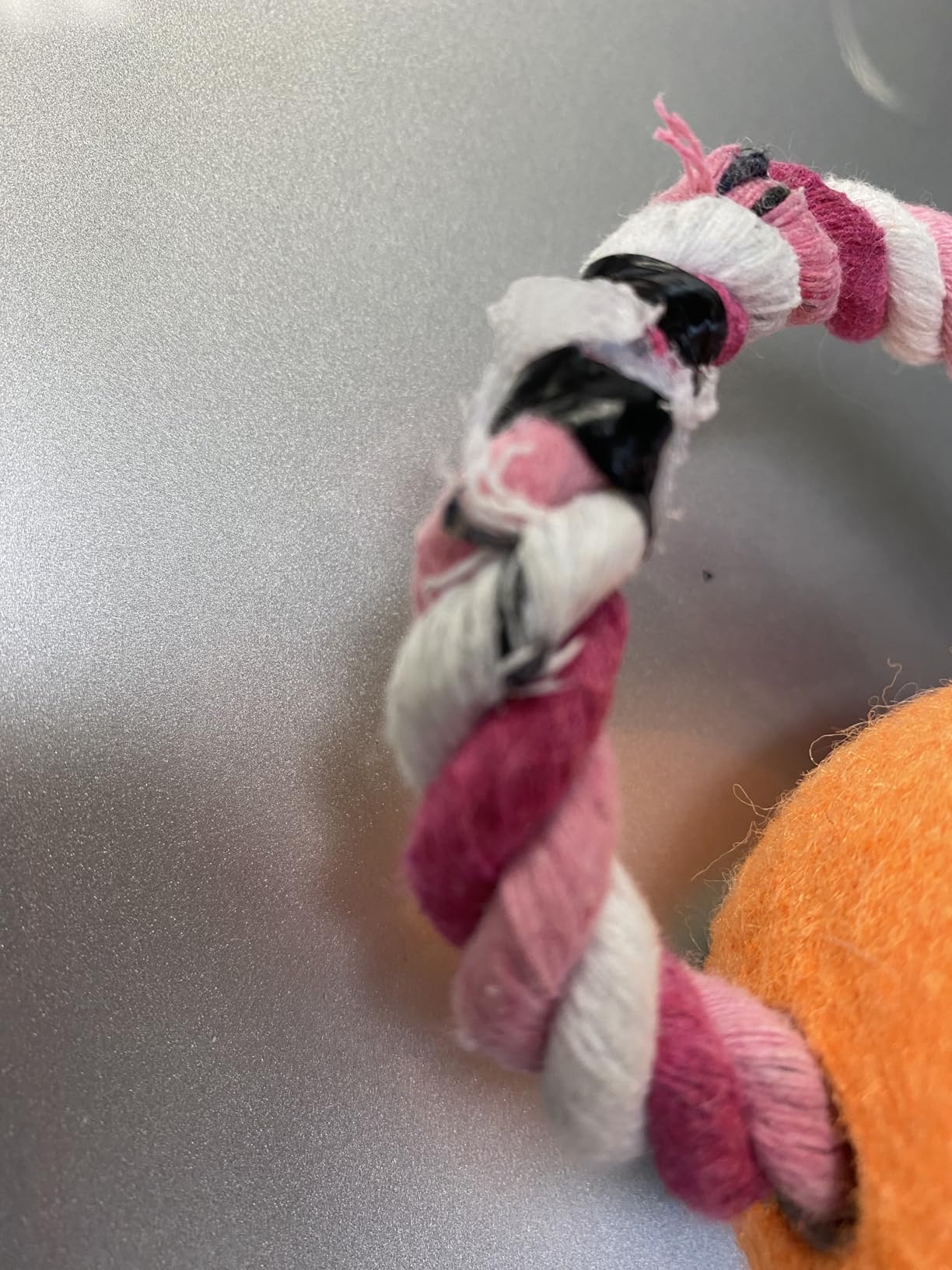 Agility Training Equipment for Dogs, Dog Agility Equipment for Backyard & Indoor Training - Professional Backyard Course with Adjustable Jumps, Collapsible Tunnel, Storage Bags & Toys (Blue, 13 PCS SET) customer photo 2