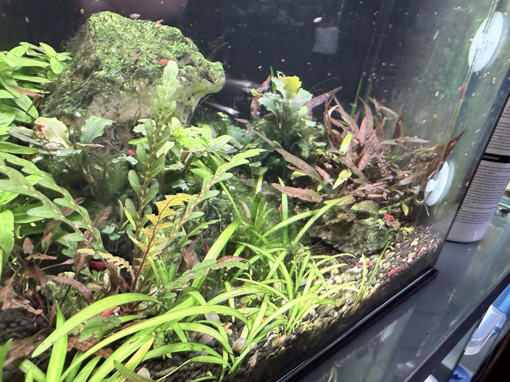 FZONE Solo Series Nano LED Aquarium Light, Full Spectrum and Dimmable, App-Controlled, for Freshwater and Planted Tanks customer photo 2