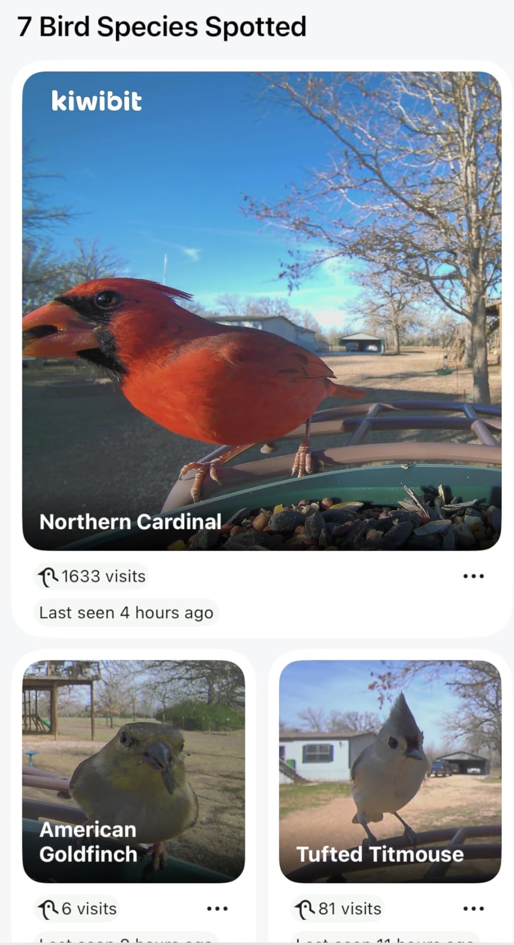 Beako Smart Bird Feeder with Camera No Subscription, Lifetime AI Feature Included, Solar Panel - 4K Video Live Stream, 8MP Photos, Bird Species AI Identification, Bird Notification, Easy Setup customer photo 1