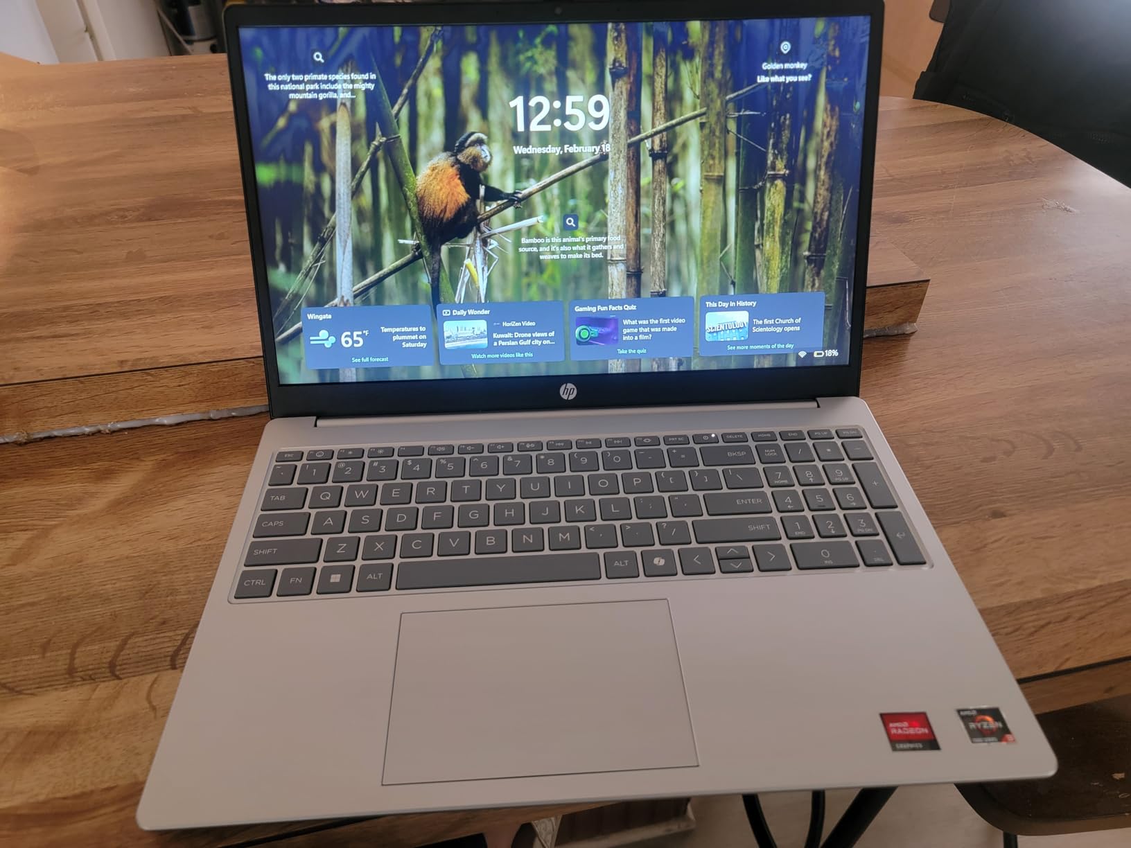 HP 15.6 inch Laptop, HD Touchscreen Display, AMD Ryzen 3 7320U, 8 GB RAM, 128 GB SSD, Windows 11 Home customer photo 1