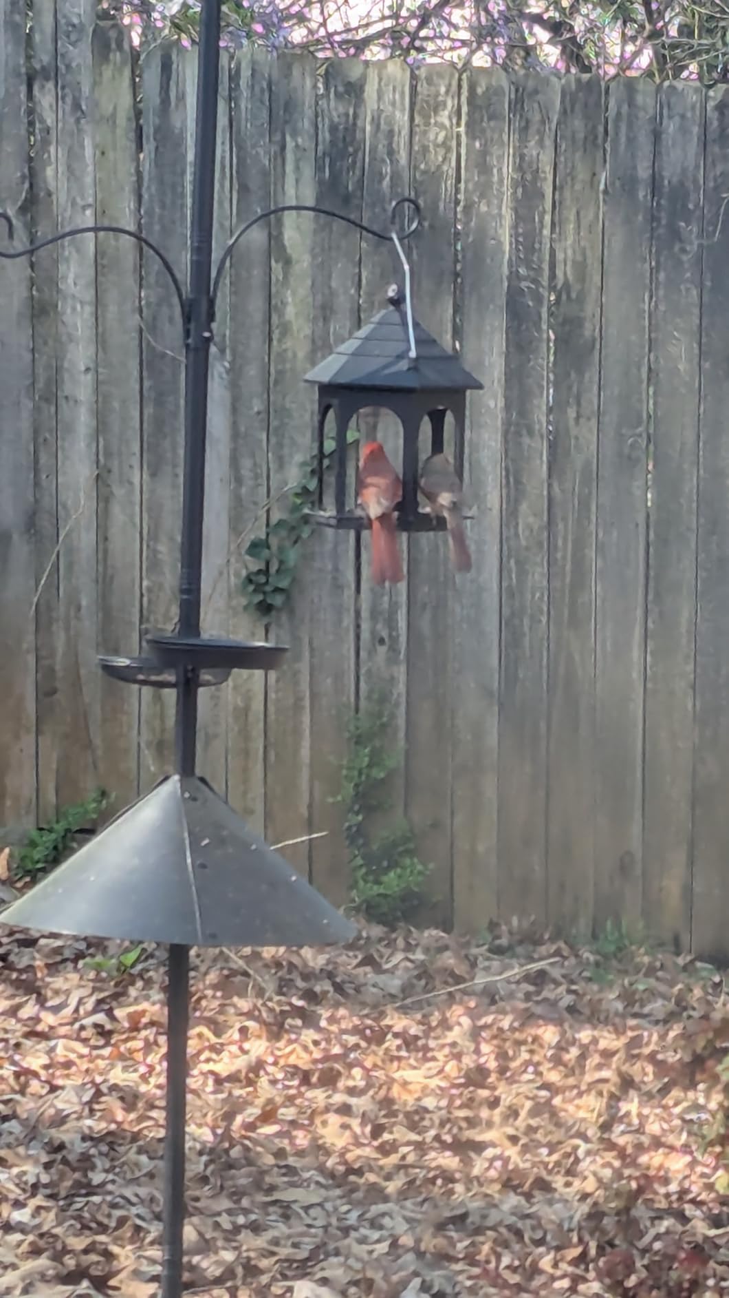 eWonLife 92 Inch Squirrel Proof Bird Feeder Pole with 9 Prongs Base, 1 Inch Dia Bird House Pole, Heavy Duty Bird Feeder Stand, Adjustable Shepherds Hooks for Outdoor with Squirrel Baffle Birdbath Tray customer photo 1