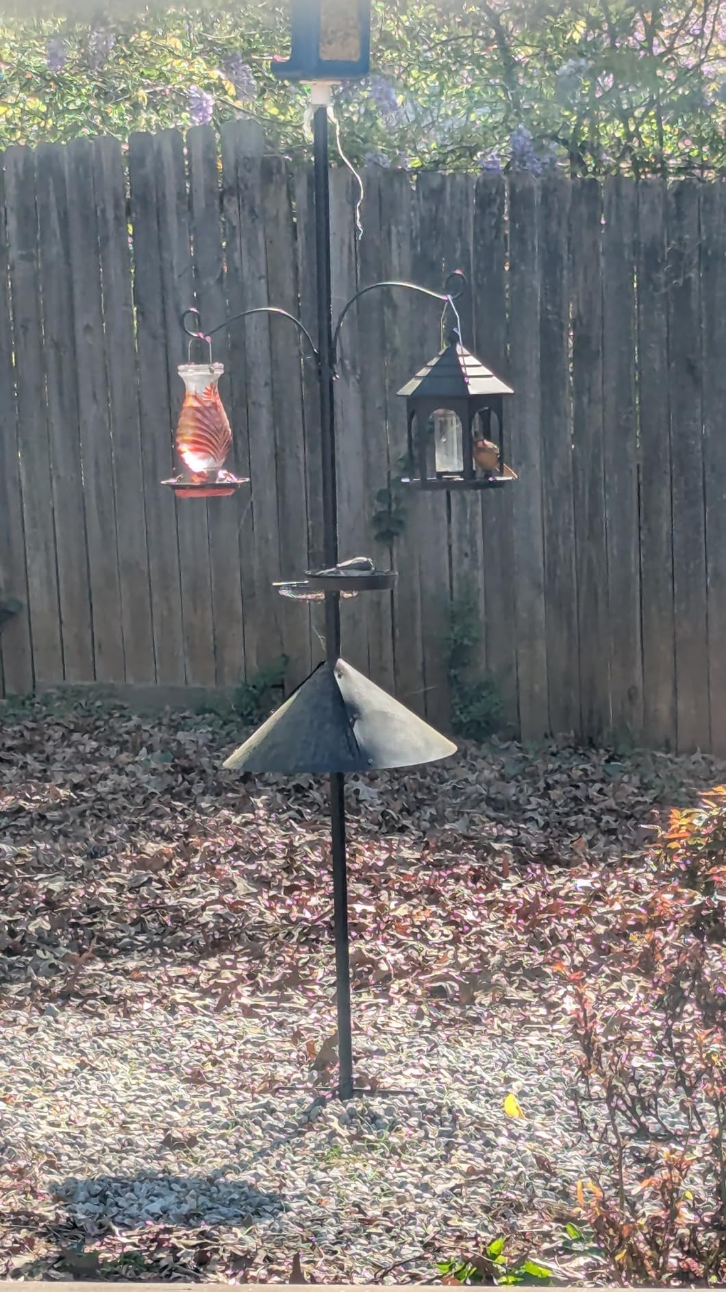 eWonLife 92 Inch Squirrel Proof Bird Feeder Pole with 9 Prongs Base, 1 Inch Dia Bird House Pole, Heavy Duty Bird Feeder Stand, Adjustable Shepherds Hooks for Outdoor with Squirrel Baffle Birdbath Tray customer photo 2