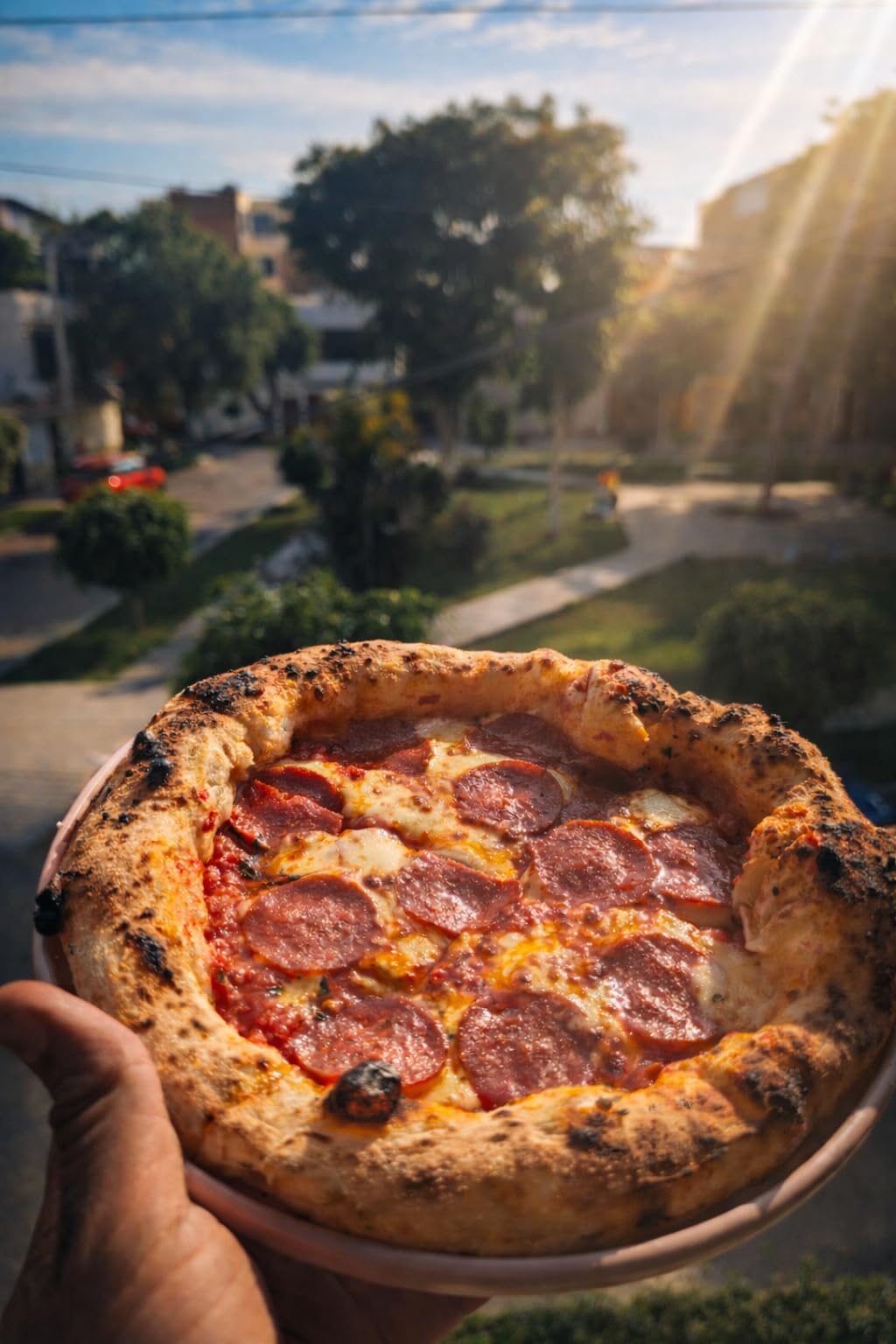 Gozney Tread Portable Pizza Oven, Olive, Makes 12