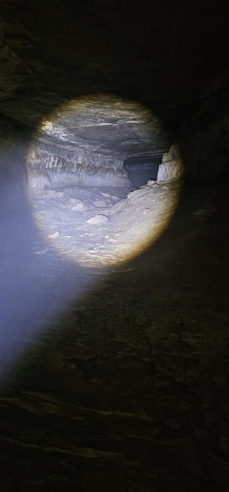 AdamStar UV&High Lumens Flashlight Rechargeable, 2-in-1 Powerful Blacklight LED Flashlight Tactical 6 Modes Super Bright Waterproof Zoomable Detector for Pet Urine Curing Resin Camping customer photo 1